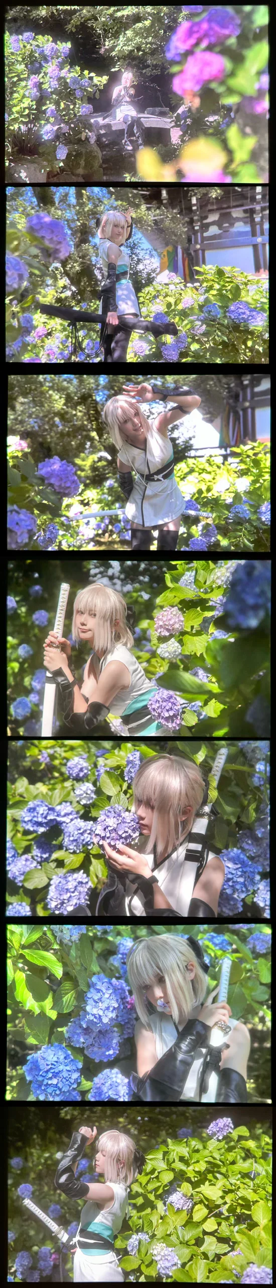 【冲田总司cos】京都绣球花季的修行感与夏日光影 - 第 4 张