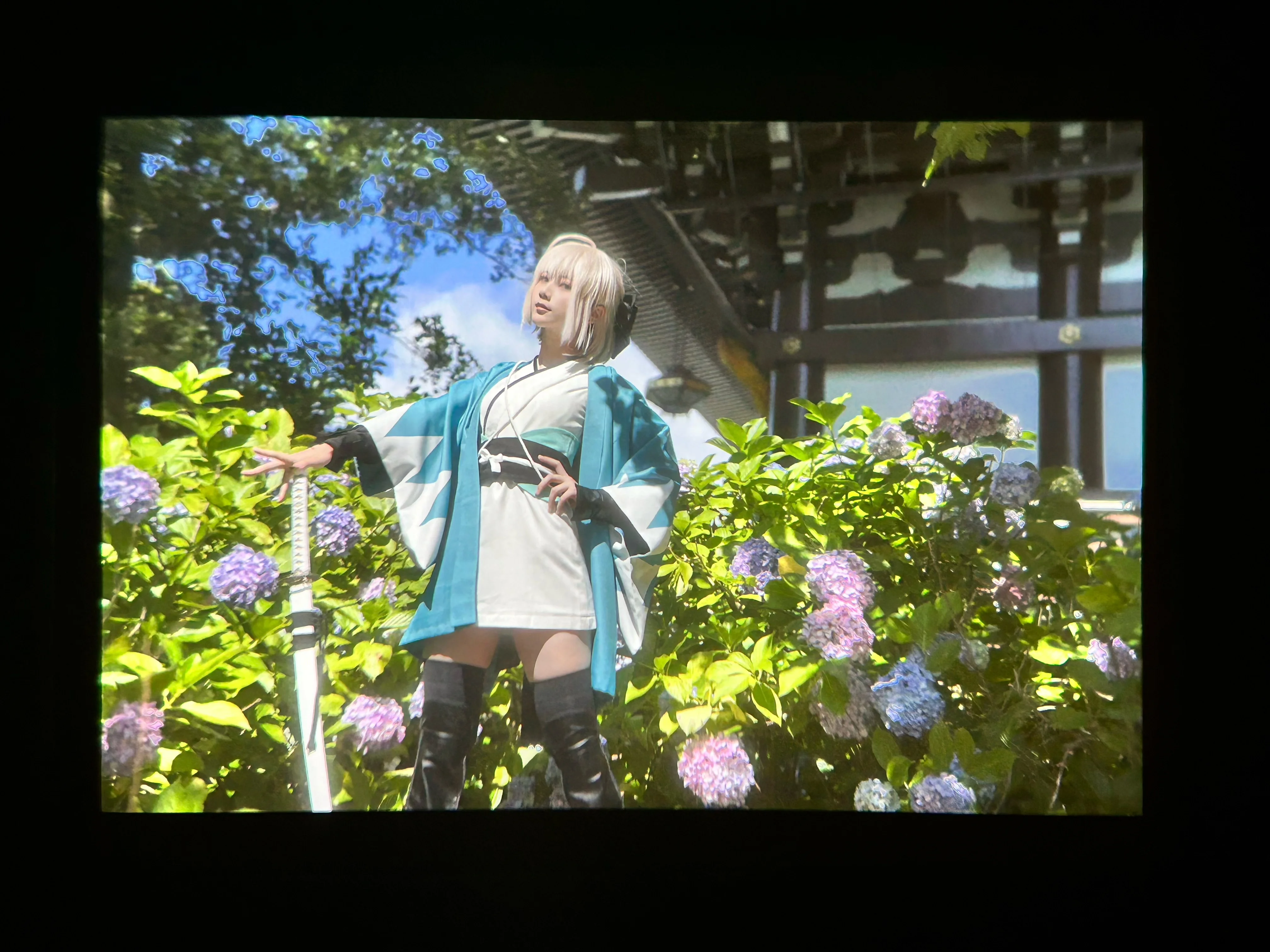 【冲田总司cos】京都绣球花季的修行感与夏日光影 - 第 5 张
