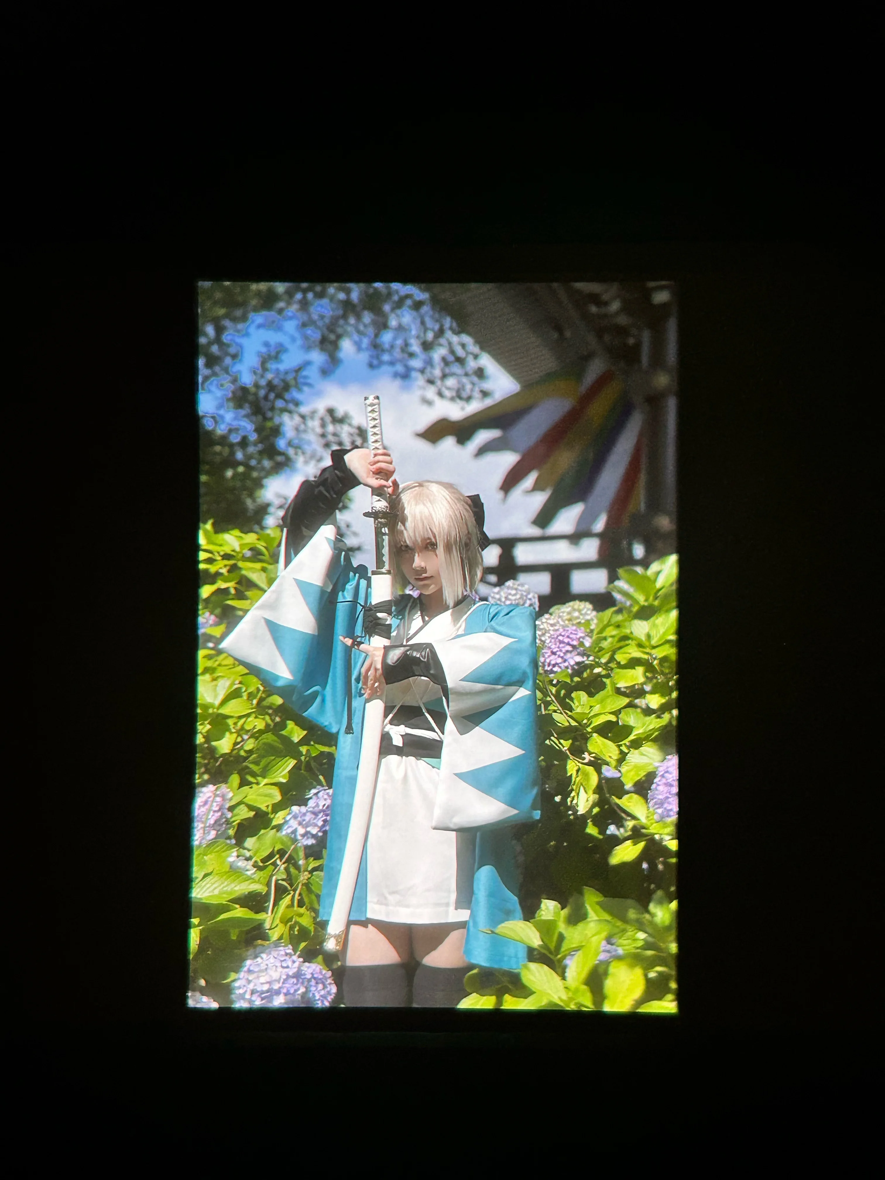 【冲田总司cos】京都绣球花季的修行感与夏日光影 - 第 6 张