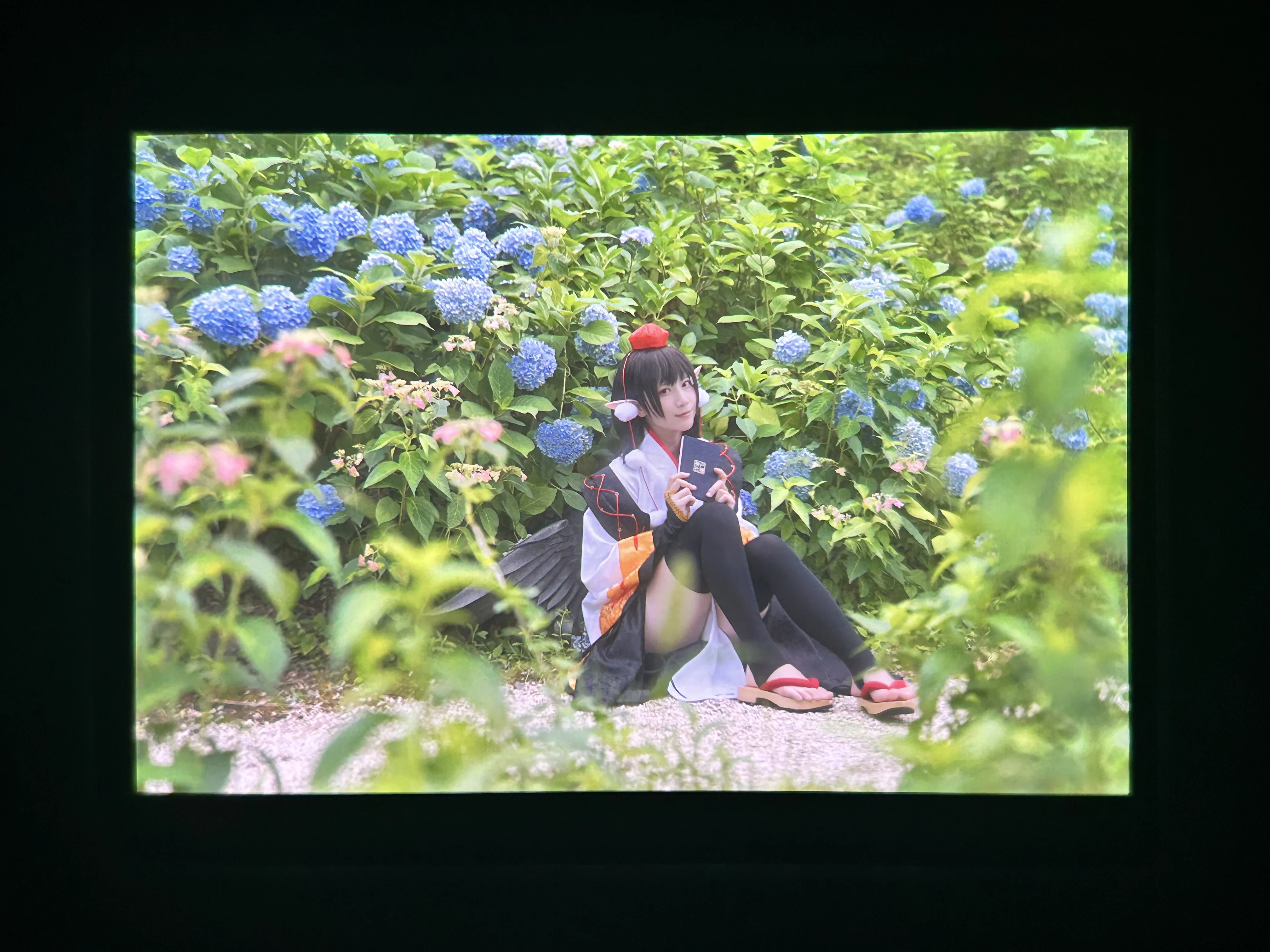 【射命丸文cos】無盡夏裡的天狗記者，雨天的自我修養 - 第 5 張