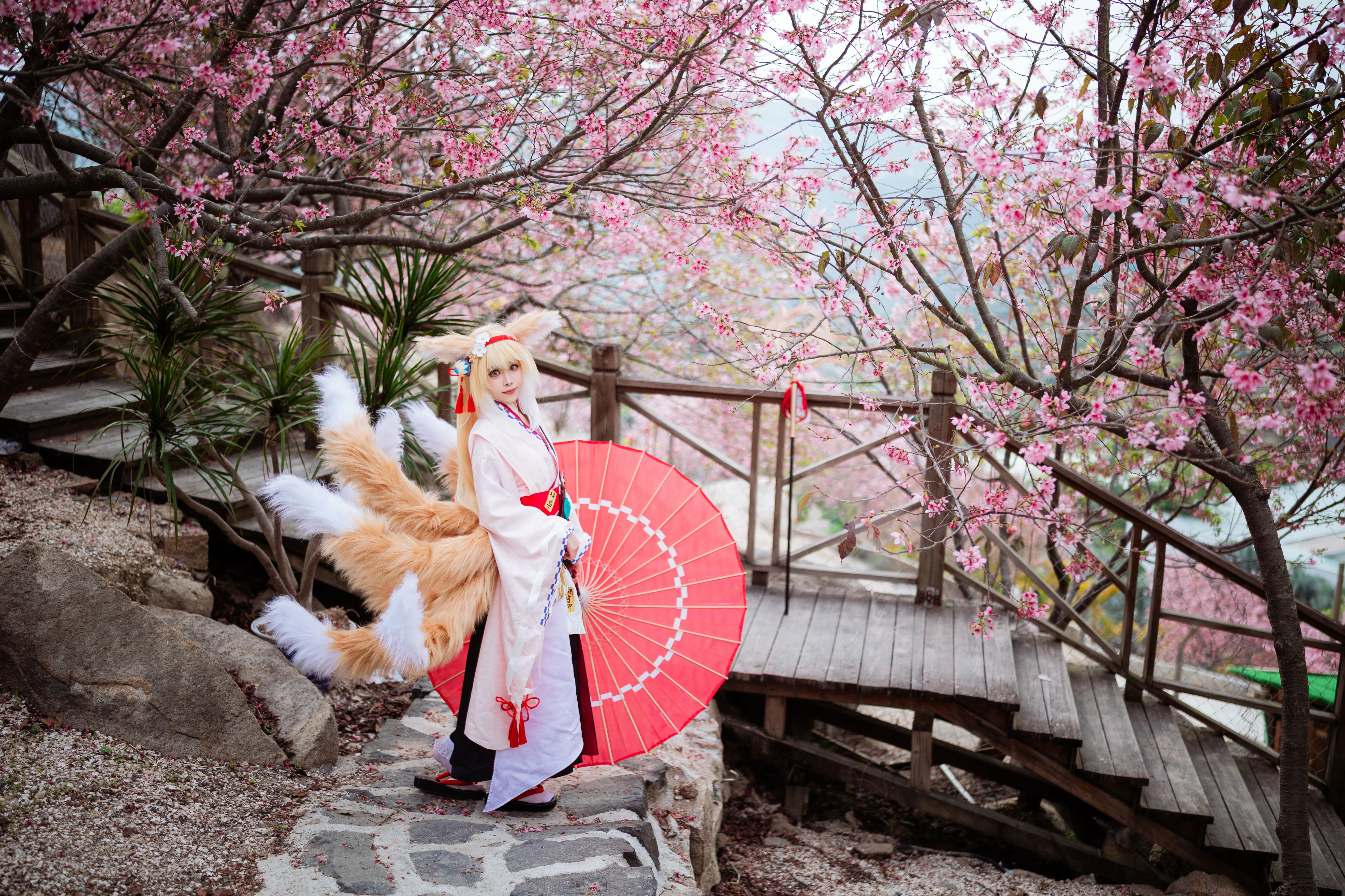 【铃兰cos】明日方舟春日小狐狸，漫步粉色花海 - 第 5 张