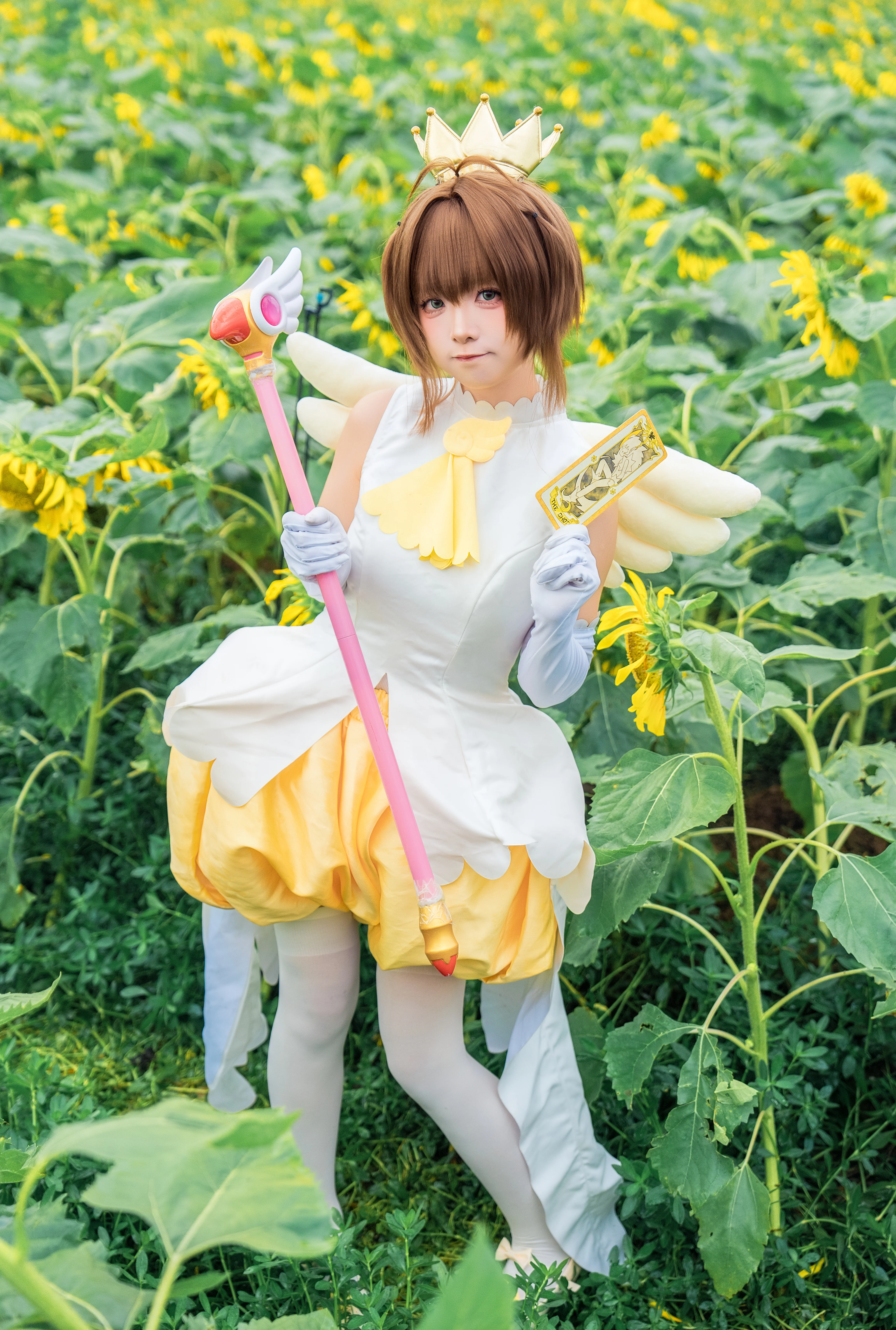 【木之本樱cos】在向日葵花海里感受夏日的魔法 - 第 1 张