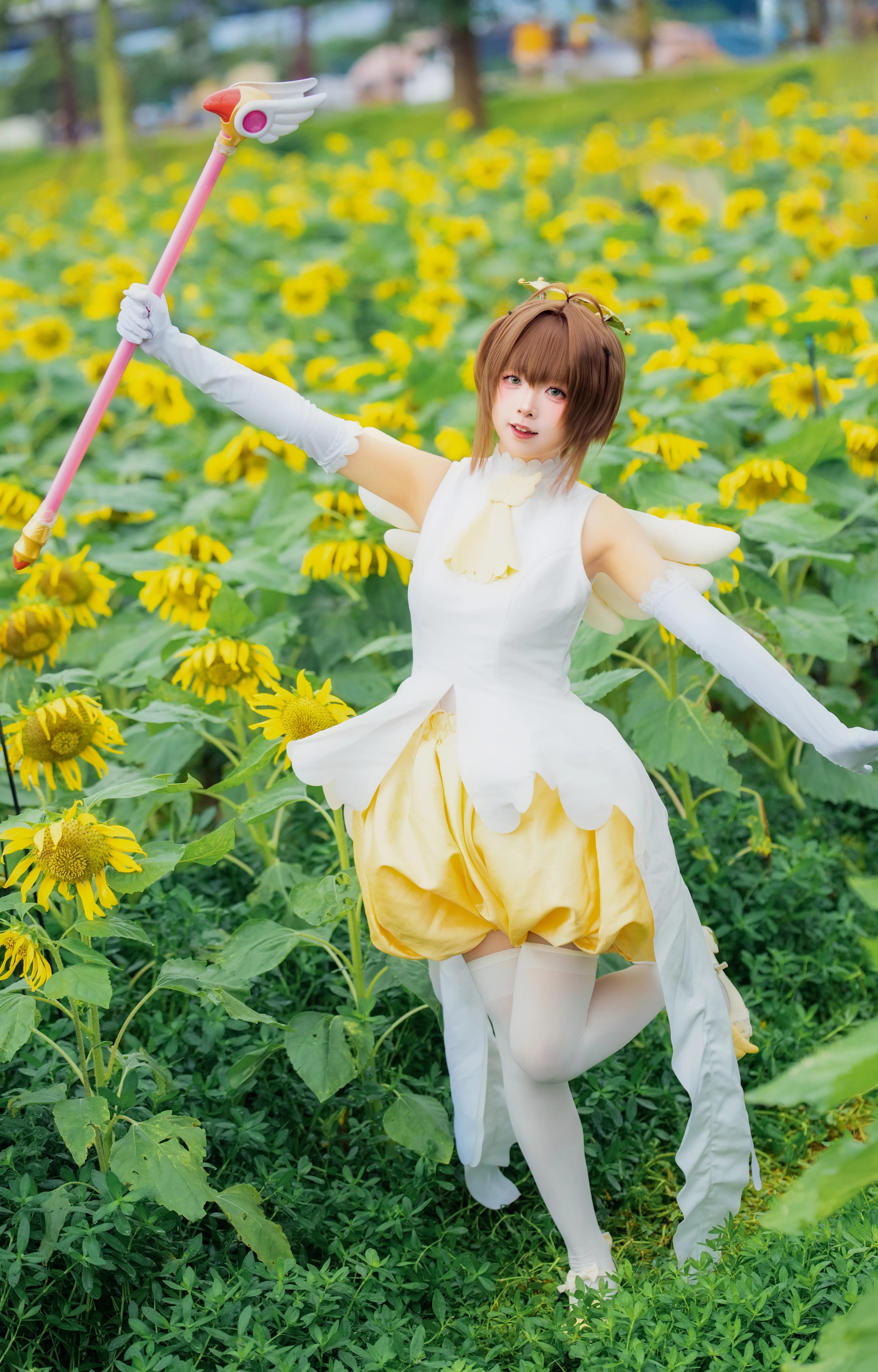 【木之本樱cos】在向日葵花海里感受夏日的魔法 - 第 2 张