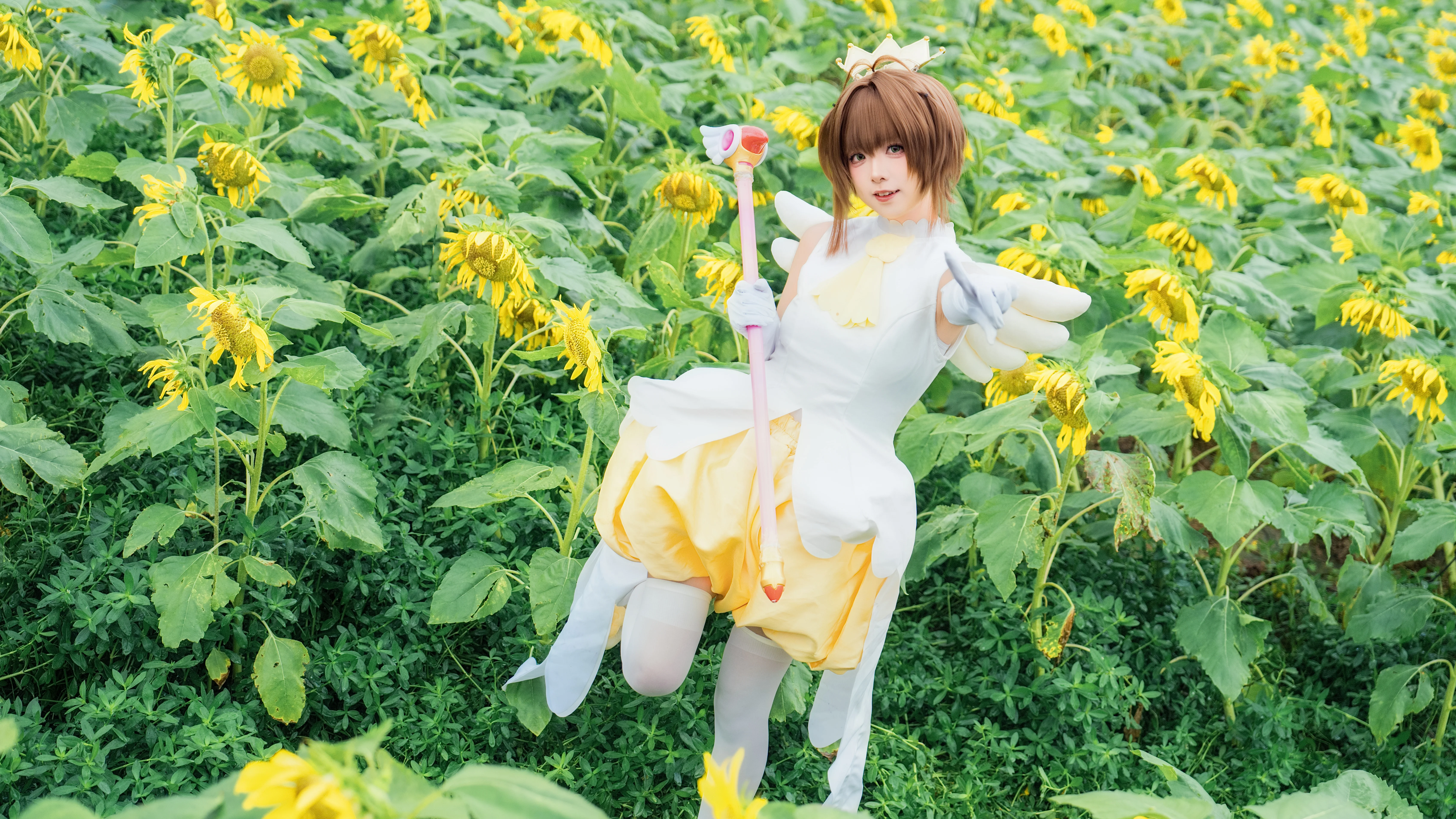 【木之本樱cos】在向日葵花海里感受夏日的魔法 - 第 5 张