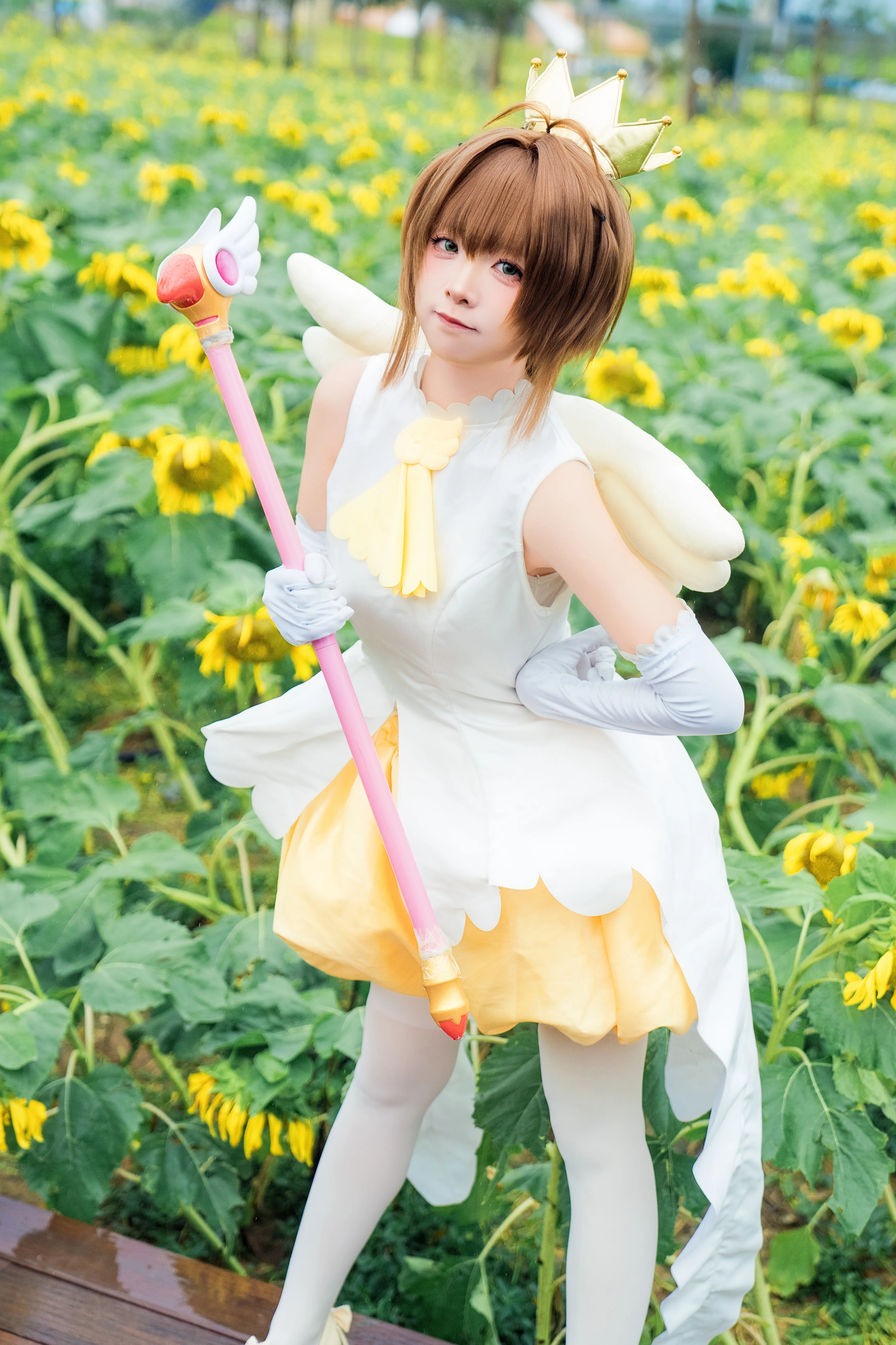 【木之本樱cos】在向日葵花海里感受夏日的魔法 - 第 7 张
