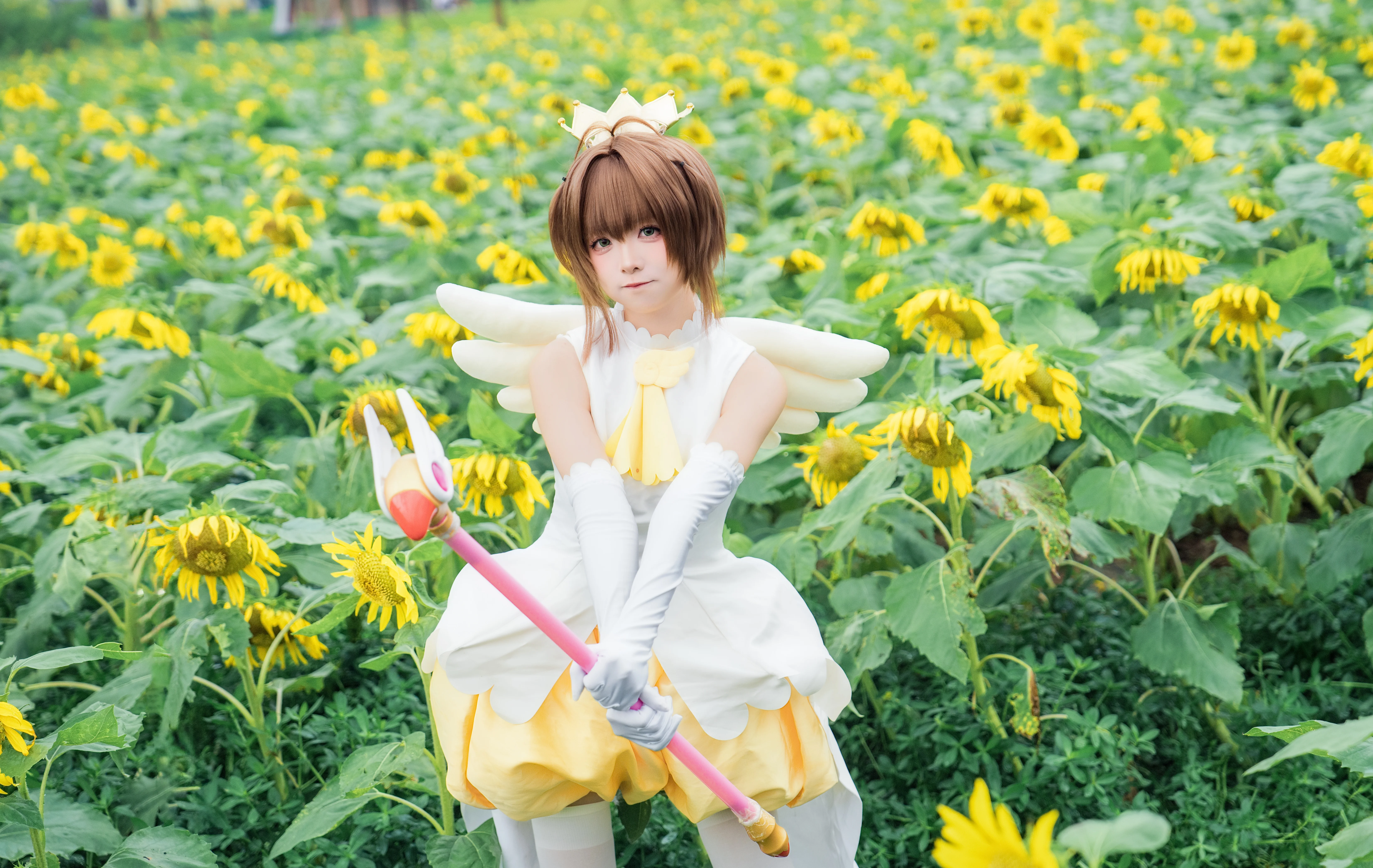 【木之本樱cos】在向日葵花海里感受夏日的魔法 - 第 8 张