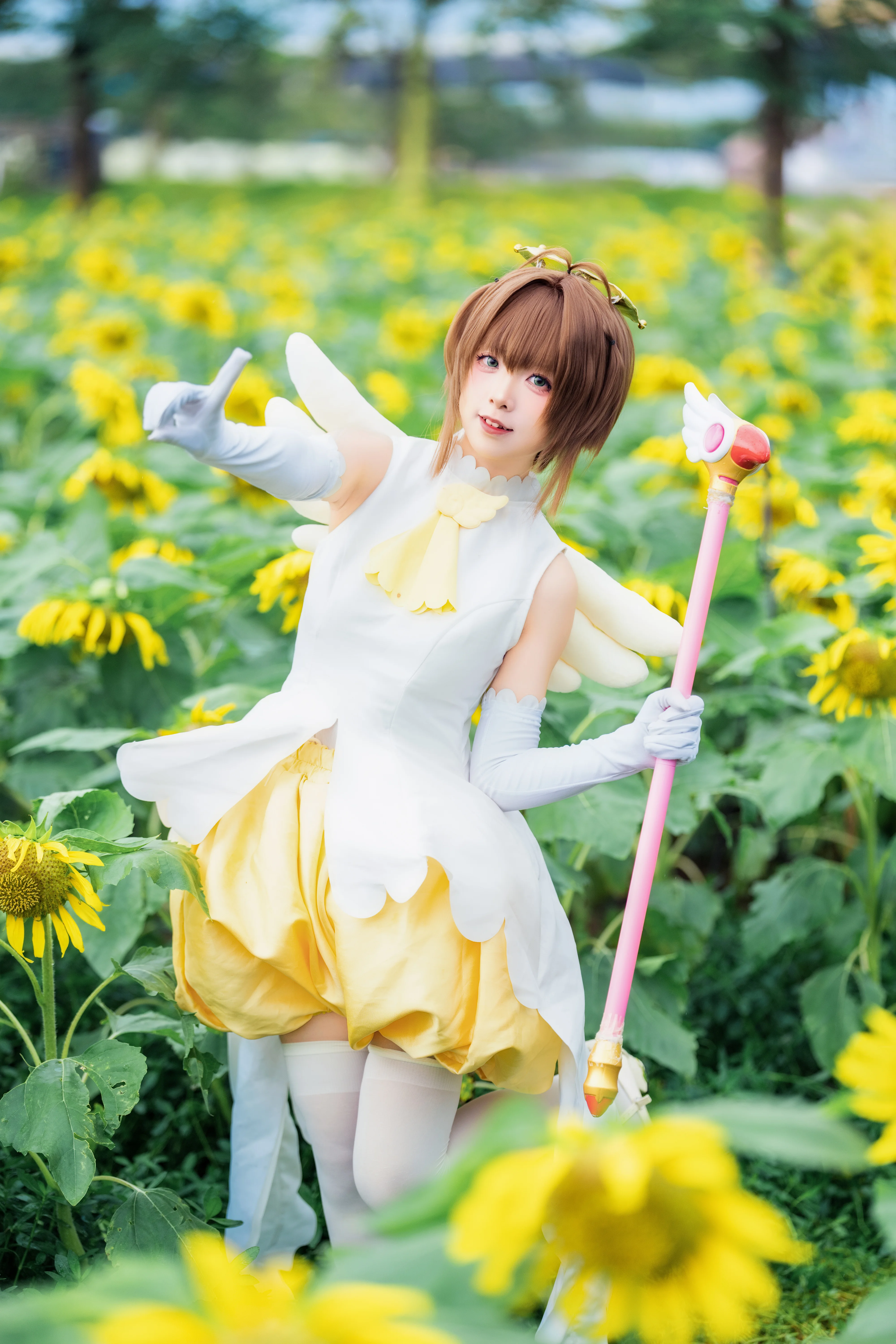【木之本樱cos】在向日葵花海里感受夏日的魔法 - 第 9 张