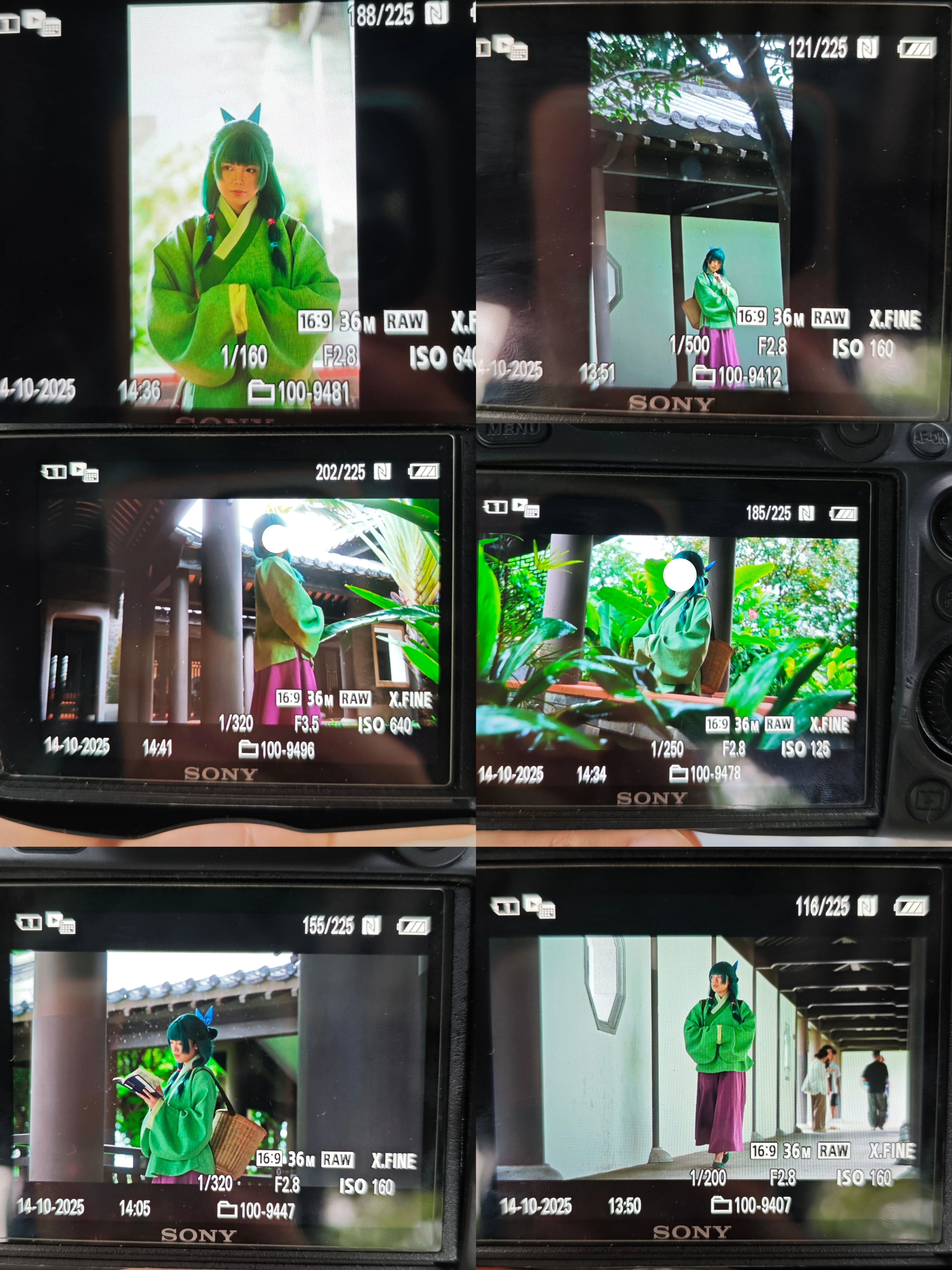 【猫猫cos】药屋少女的呢喃，素颜出镜的竹林速报 - 第 2 张