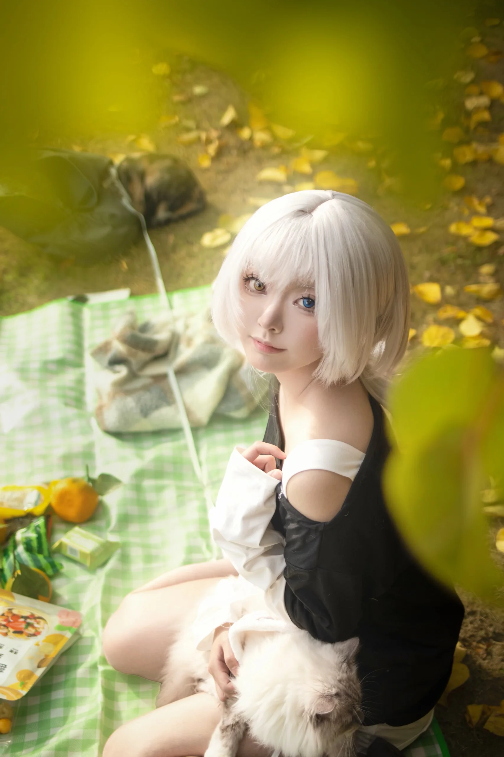 [Kaname Rana cosplay] The picnic kitten in BanG Dream!, Autumn limited edition - Image 2