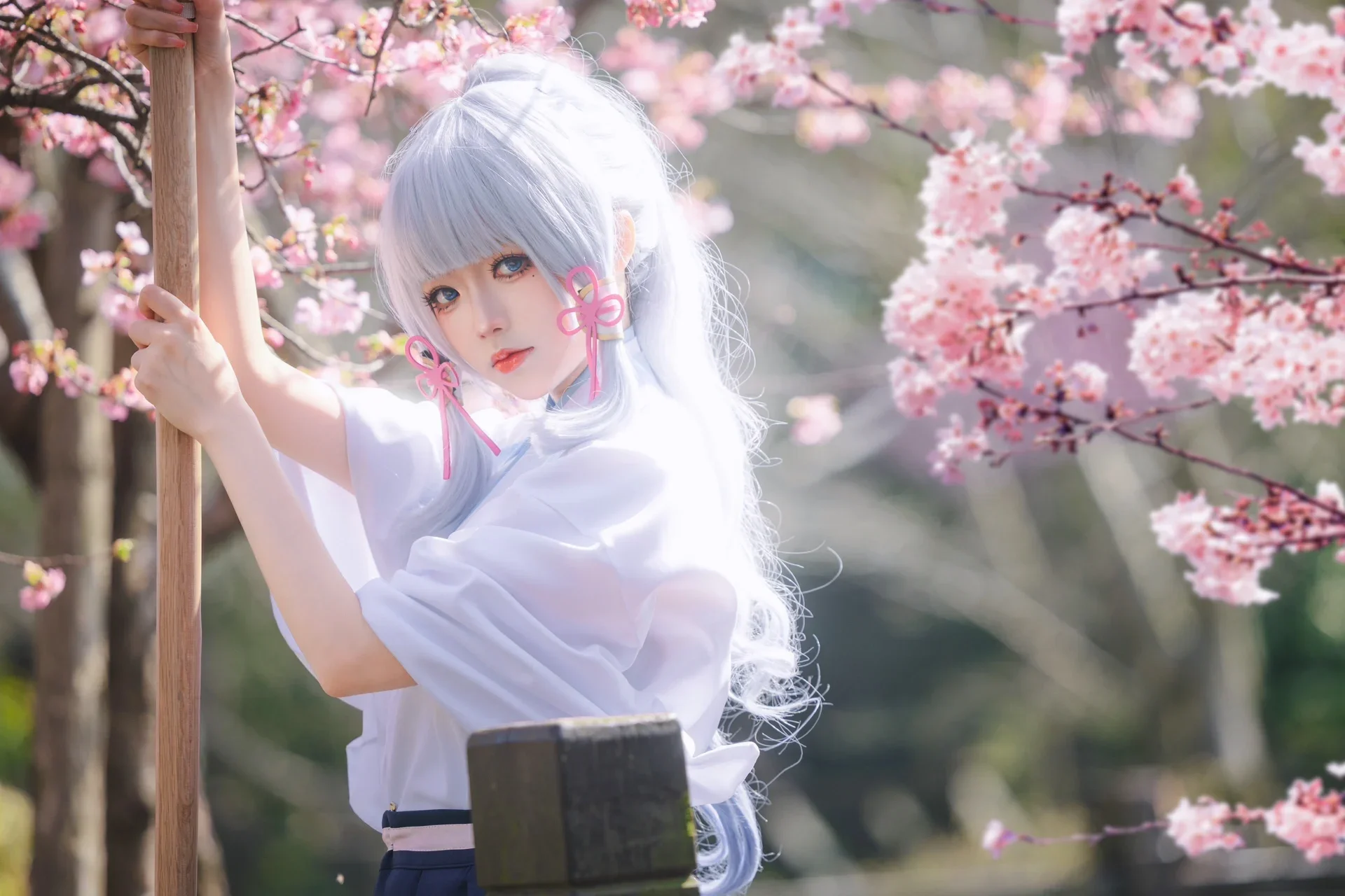 【神里绫华cos】樱花树下的拔刀瞬间，还原白鹭公主的飒爽 - 第 2 张