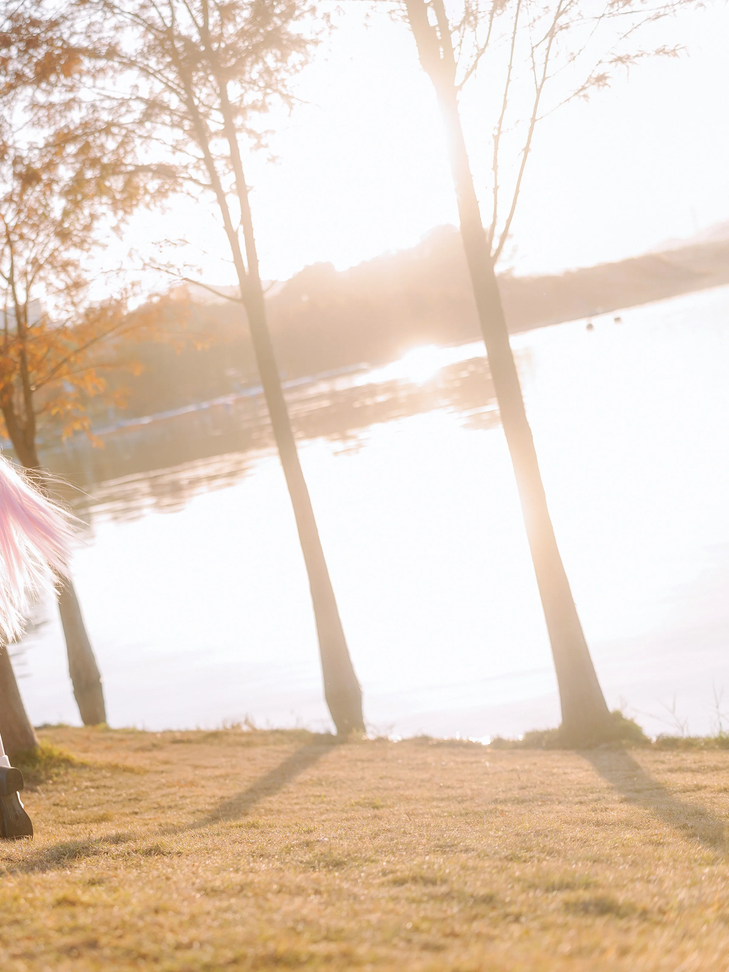 [Takanashi Hoshino cosplay] Autumn Jiulong Lake Bald Cypress and Abydos - Image 4