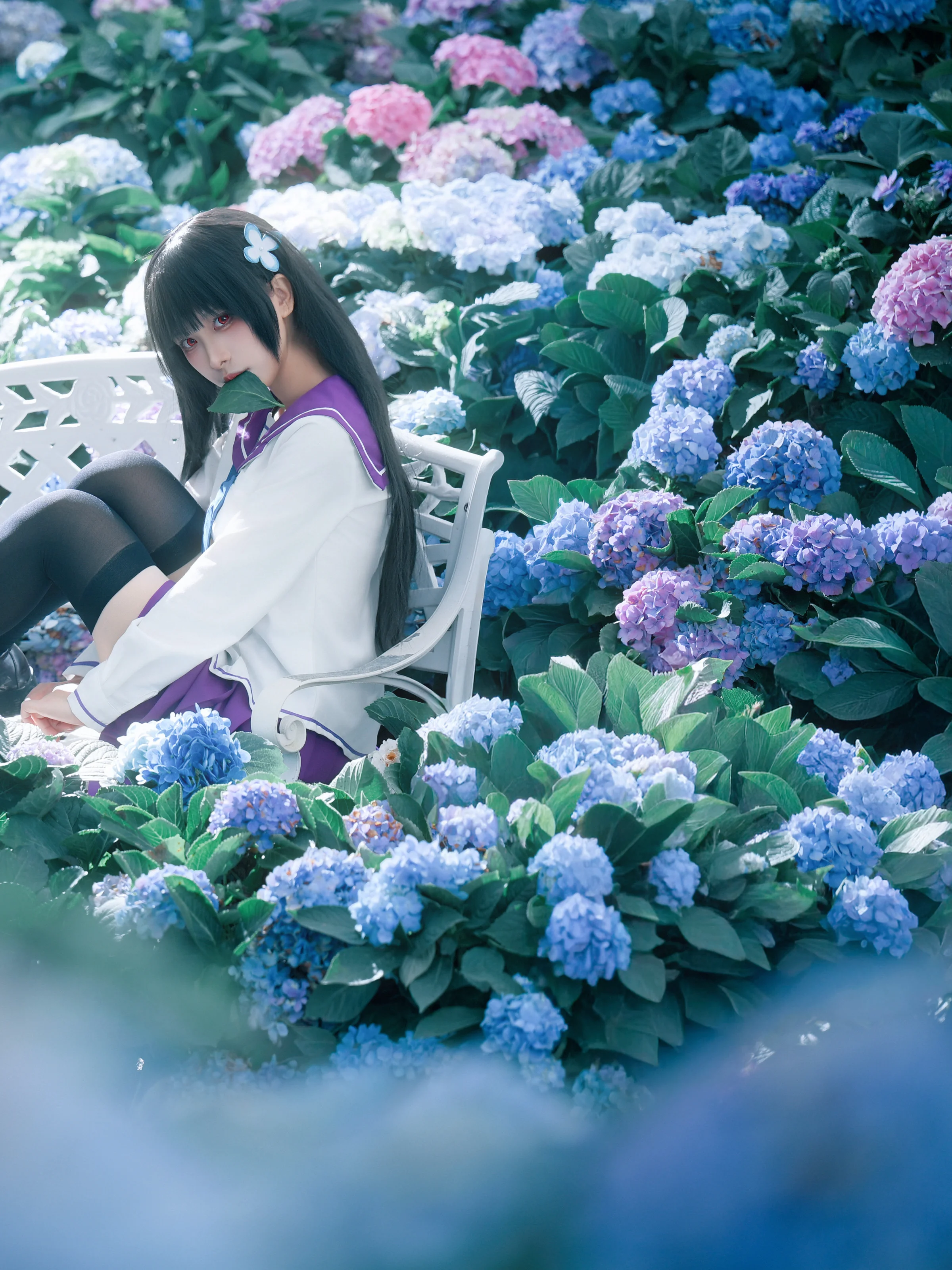 [Sankarea: Undying Love cosplay] Obsession and Pure White Amidst Hydrangeas - Image 5