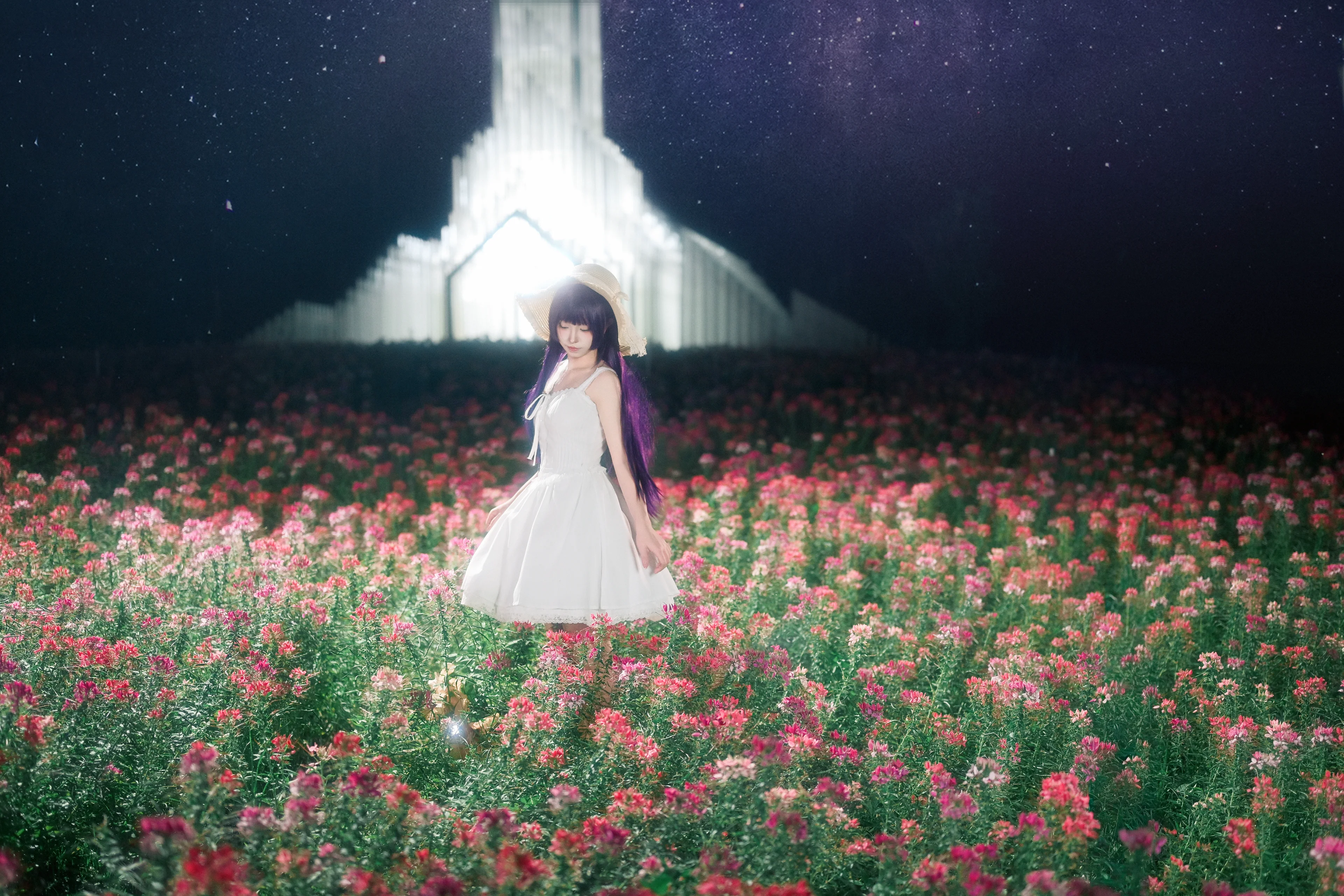 【五更琉璃cos】黑猫的发光教堂与花海夜景 - 第 6 张
