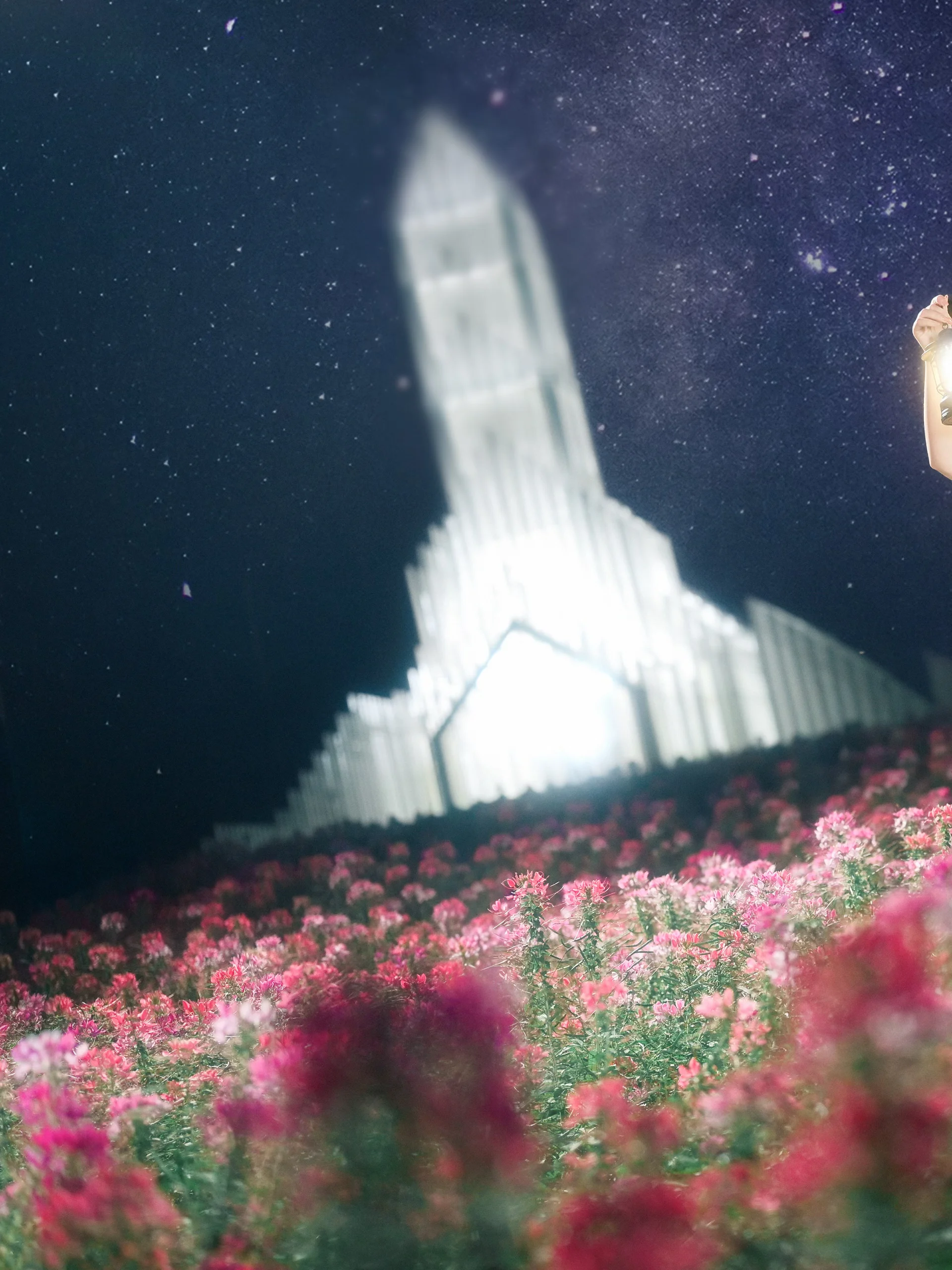 【五更琉璃cos】夜空下的花海與倔強的黑貓 - 第 5 張