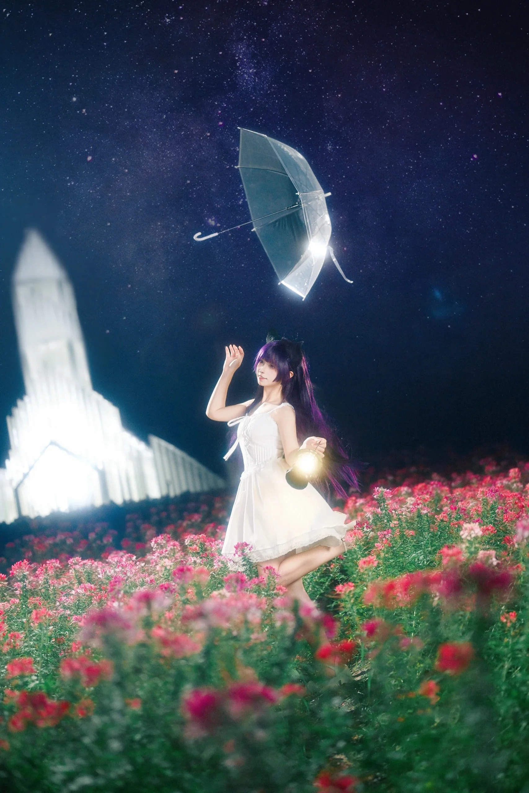 【五更琉璃cos】夜空下的花海與倔強的黑貓 - 第 8 張