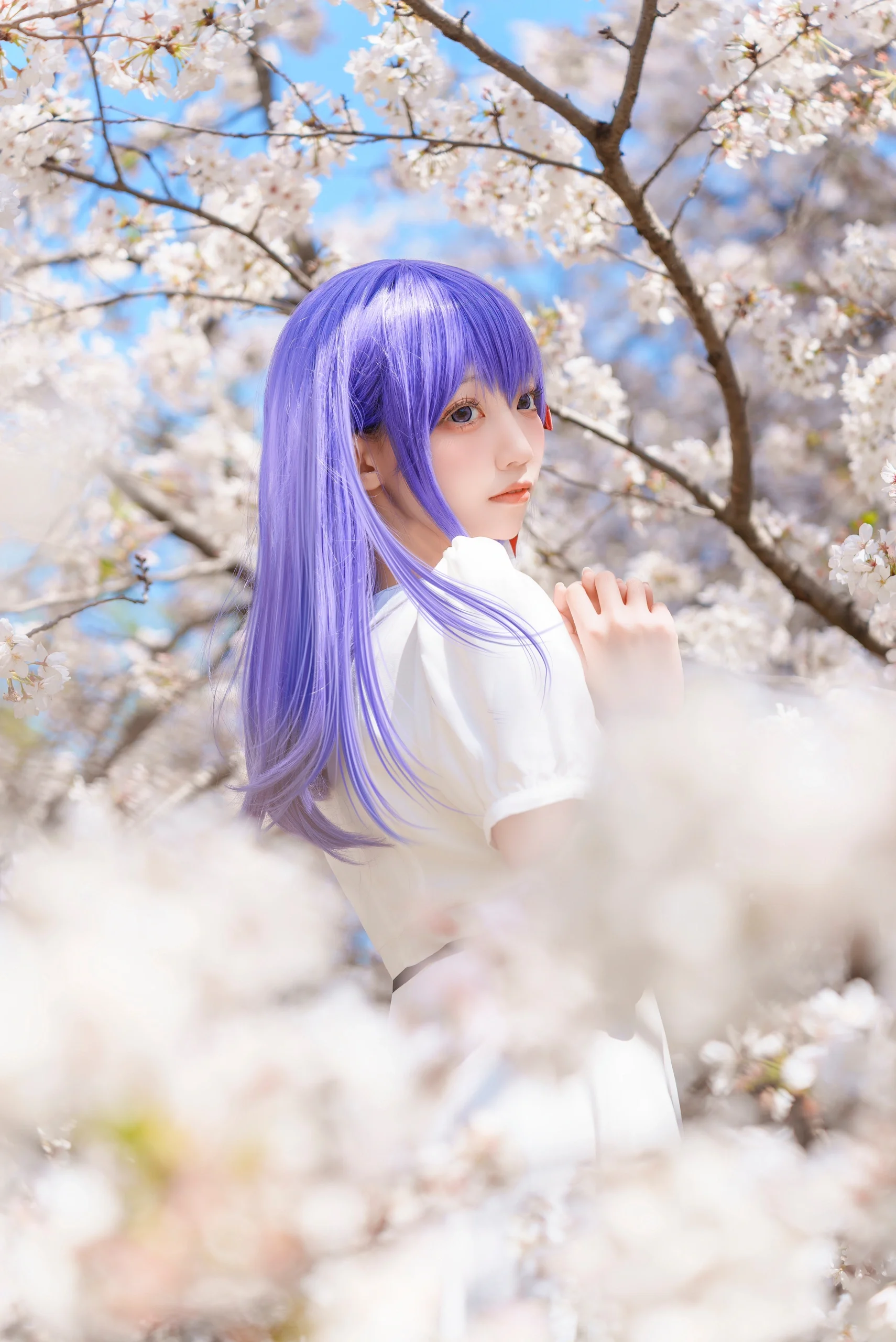 【间桐樱cos】在樱花盛开的季节与Fate系列里的她共度温柔时光 封面