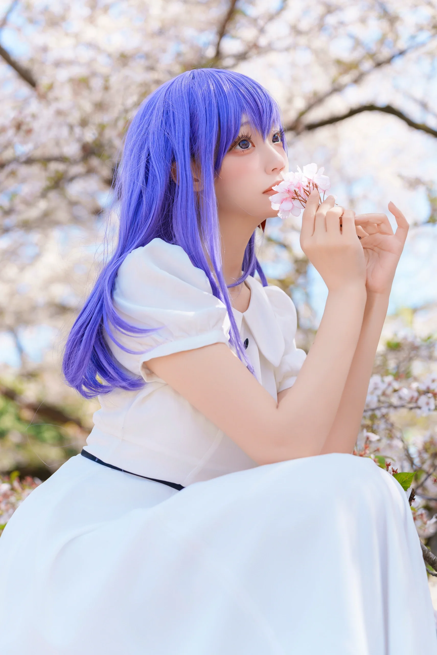 【间桐樱cos】在樱花盛开的季节与Fate系列里的她共度温柔时光 - 第12张