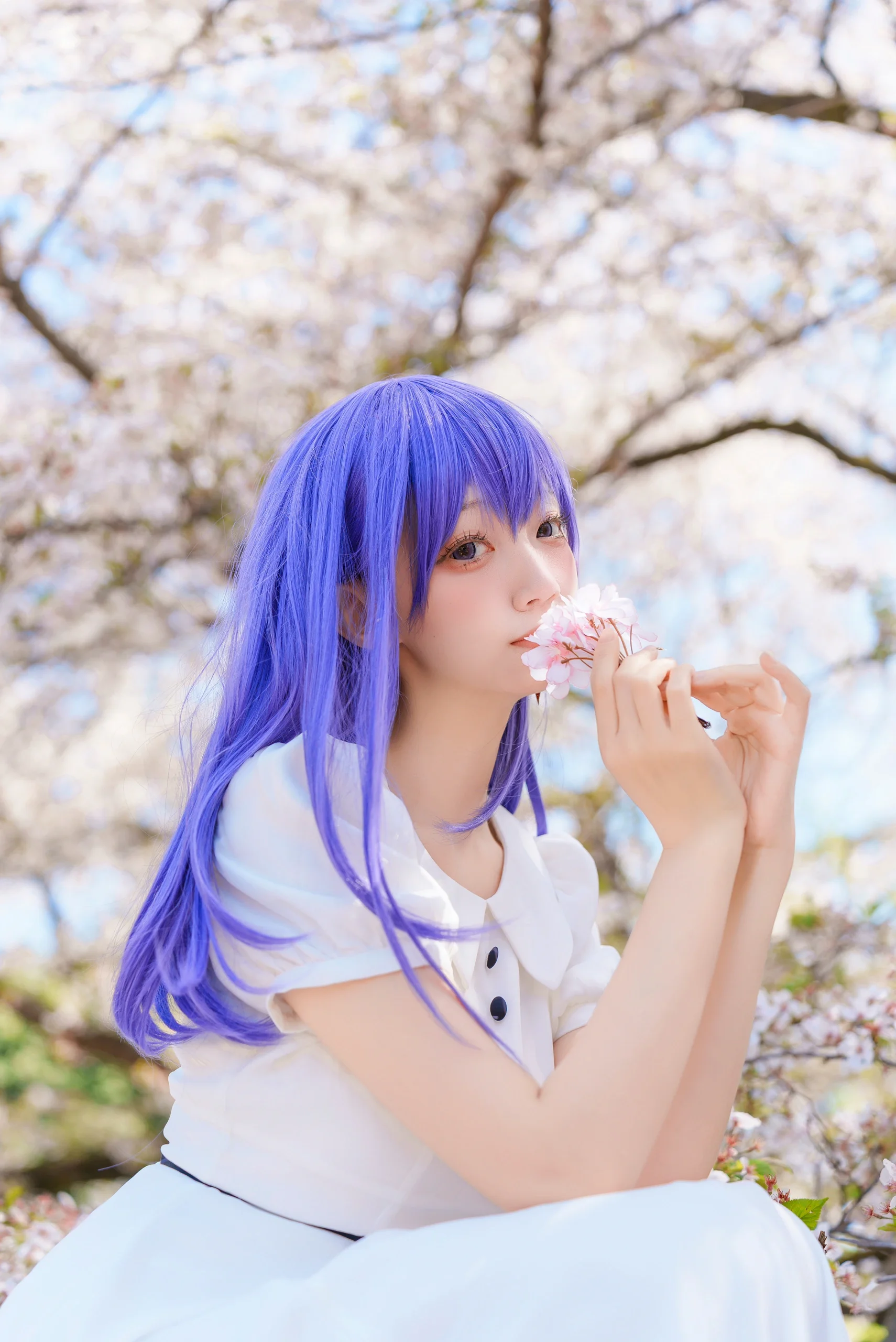 【间桐樱cos】在樱花盛开的季节与Fate系列里的她共度温柔时光 - 第13张