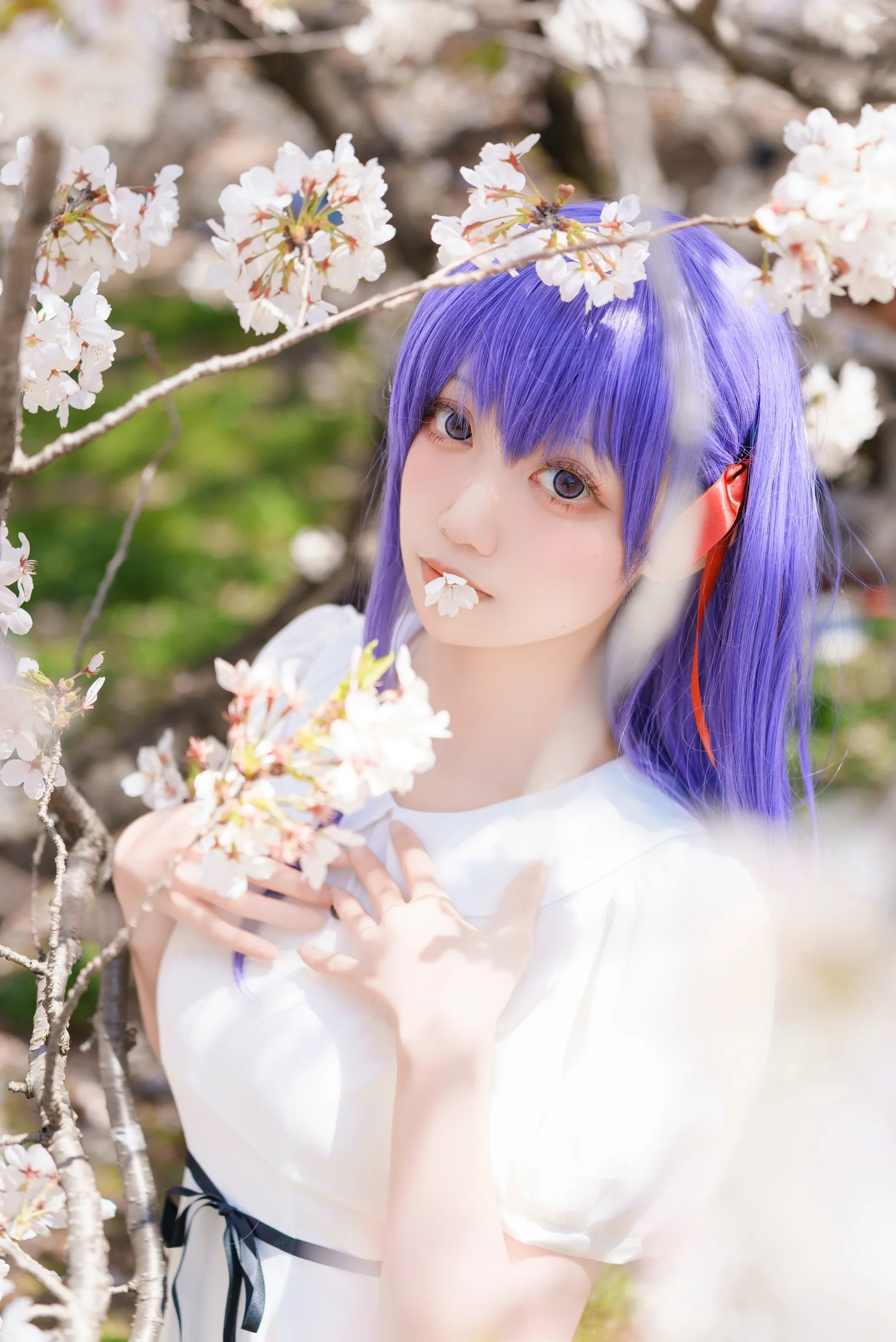 【间桐樱cos】在樱花盛开的季节与Fate系列里的她共度温柔时光 - 第6张