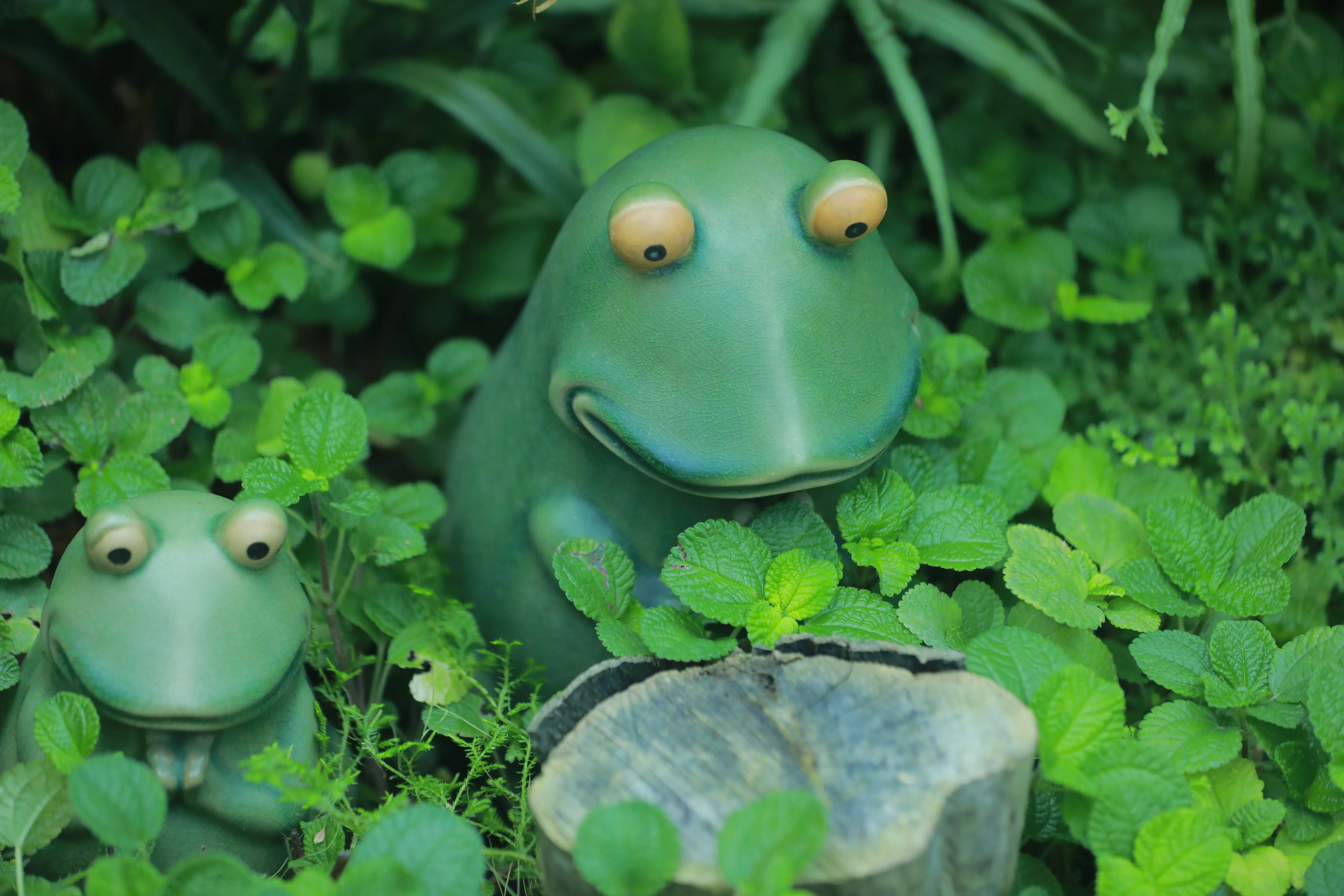 【山兎コスプレ】東莞植物園の小さなうさぎちゃん、灯籠を持って登場！ - 15 枚目
