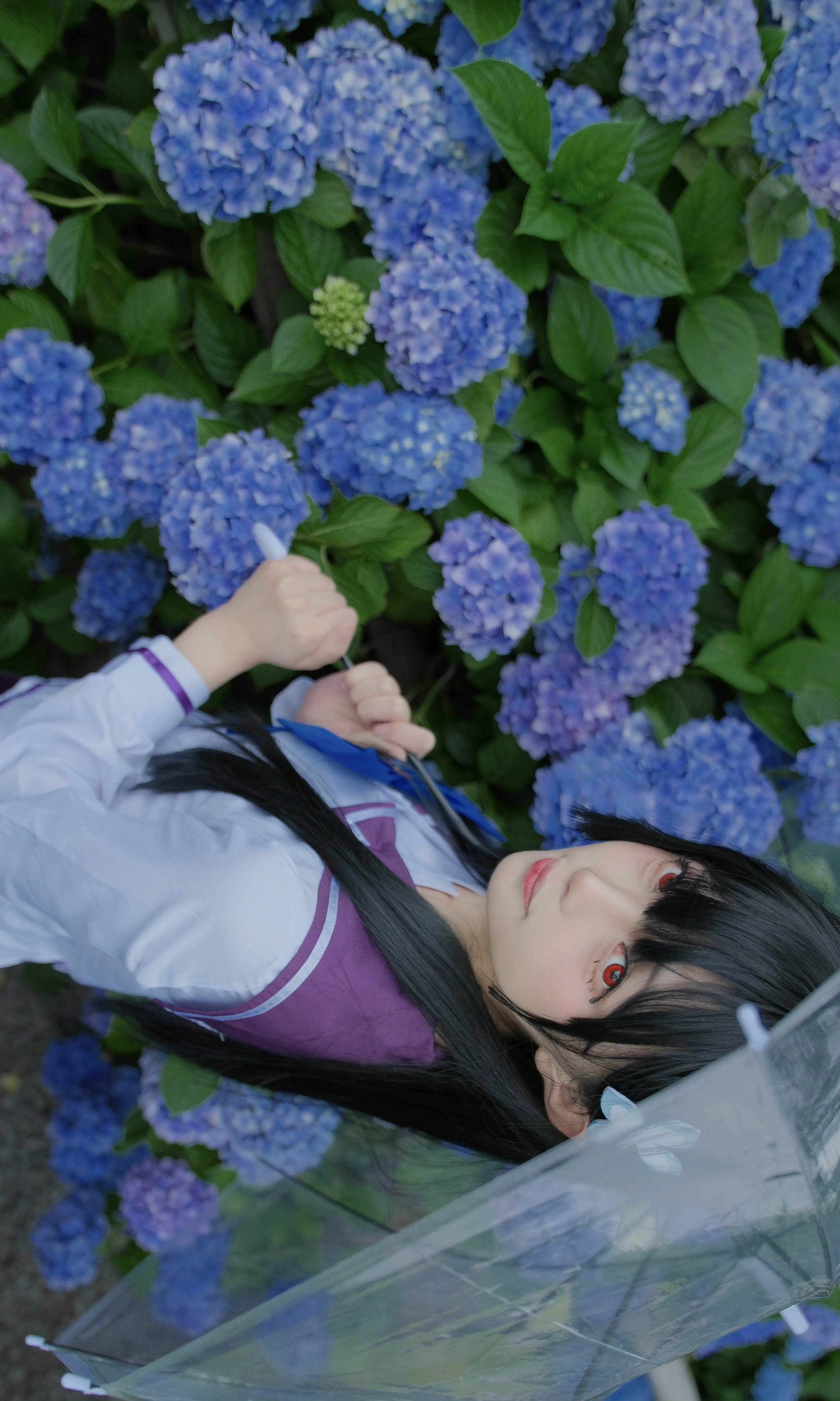 【散华礼弥cos】紫阳花无尽夏的少女 - 第 6 张
