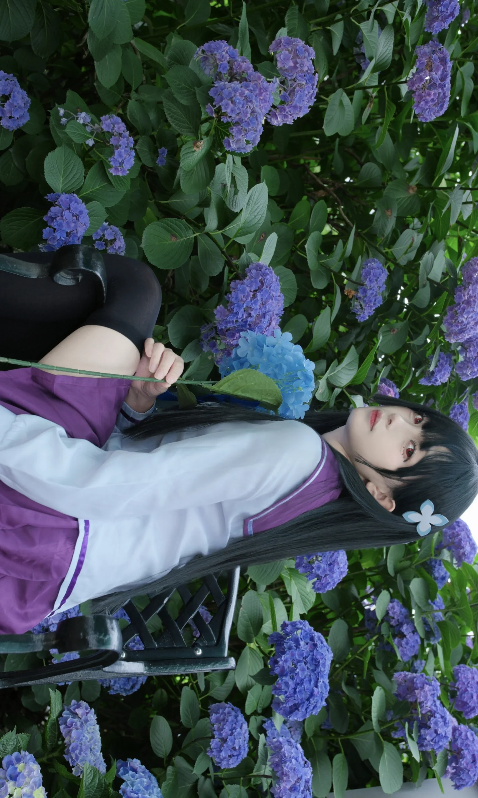 【散华礼弥cos】紫阳花无尽夏的少女 - 第 7 张