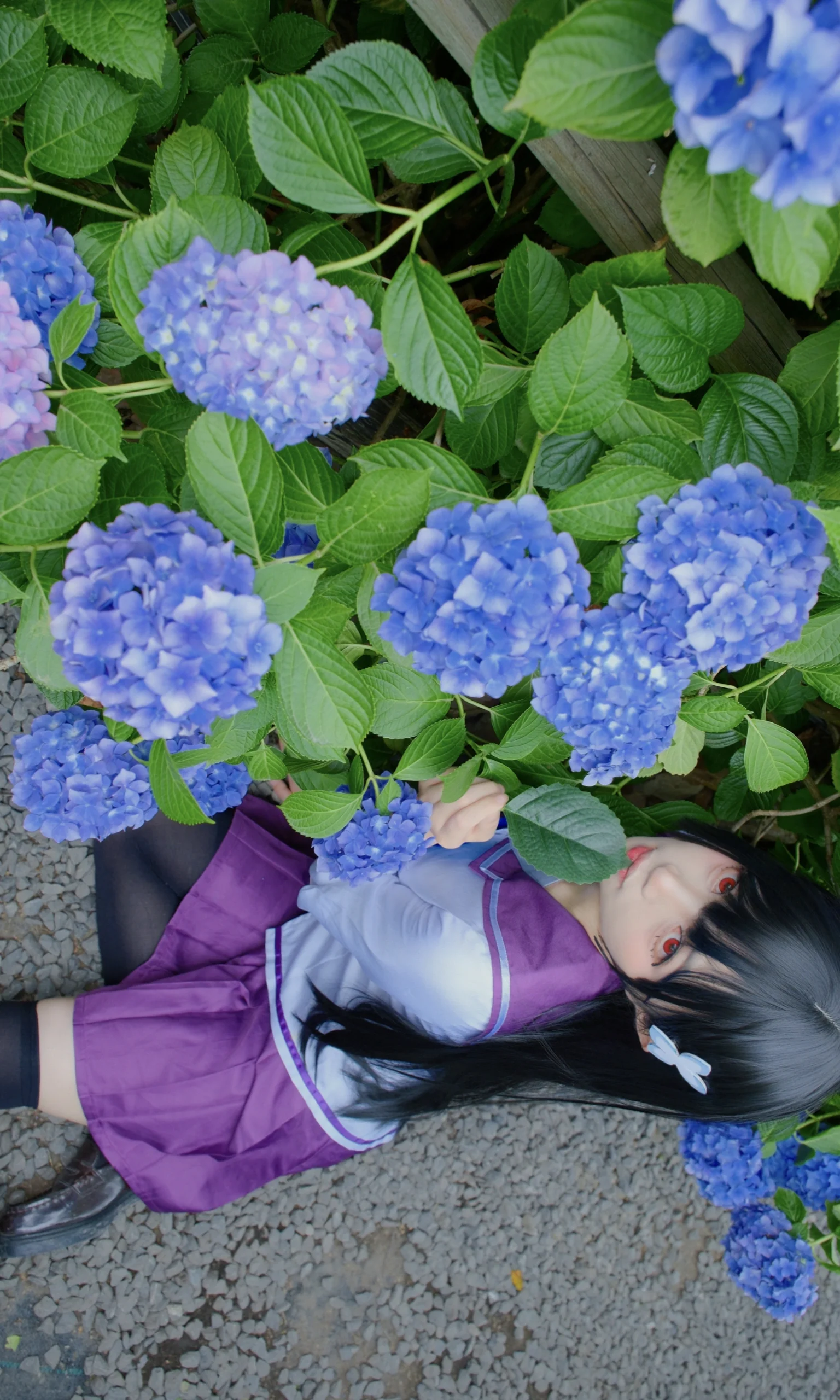 【散华礼弥cos】紫阳花无尽夏的少女 - 第 8 张