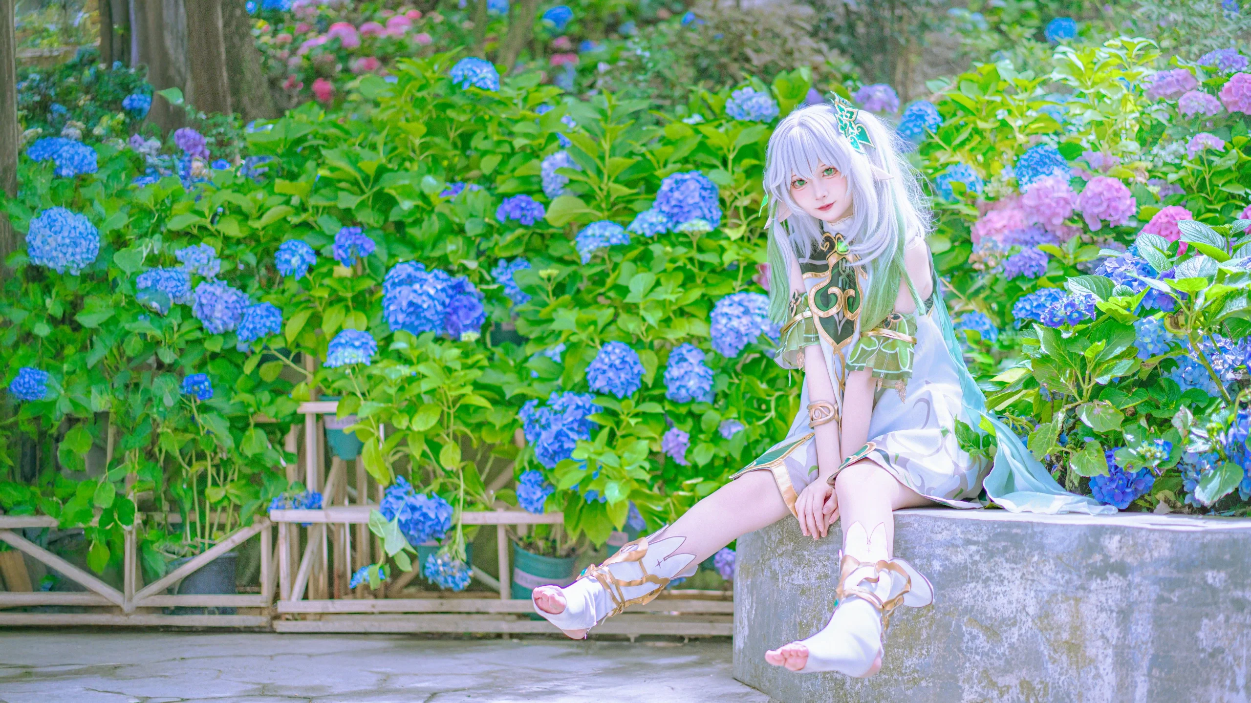 【纳西妲cos】原神草神，置身于绣球花海中的夏日时光 - 第 5 张