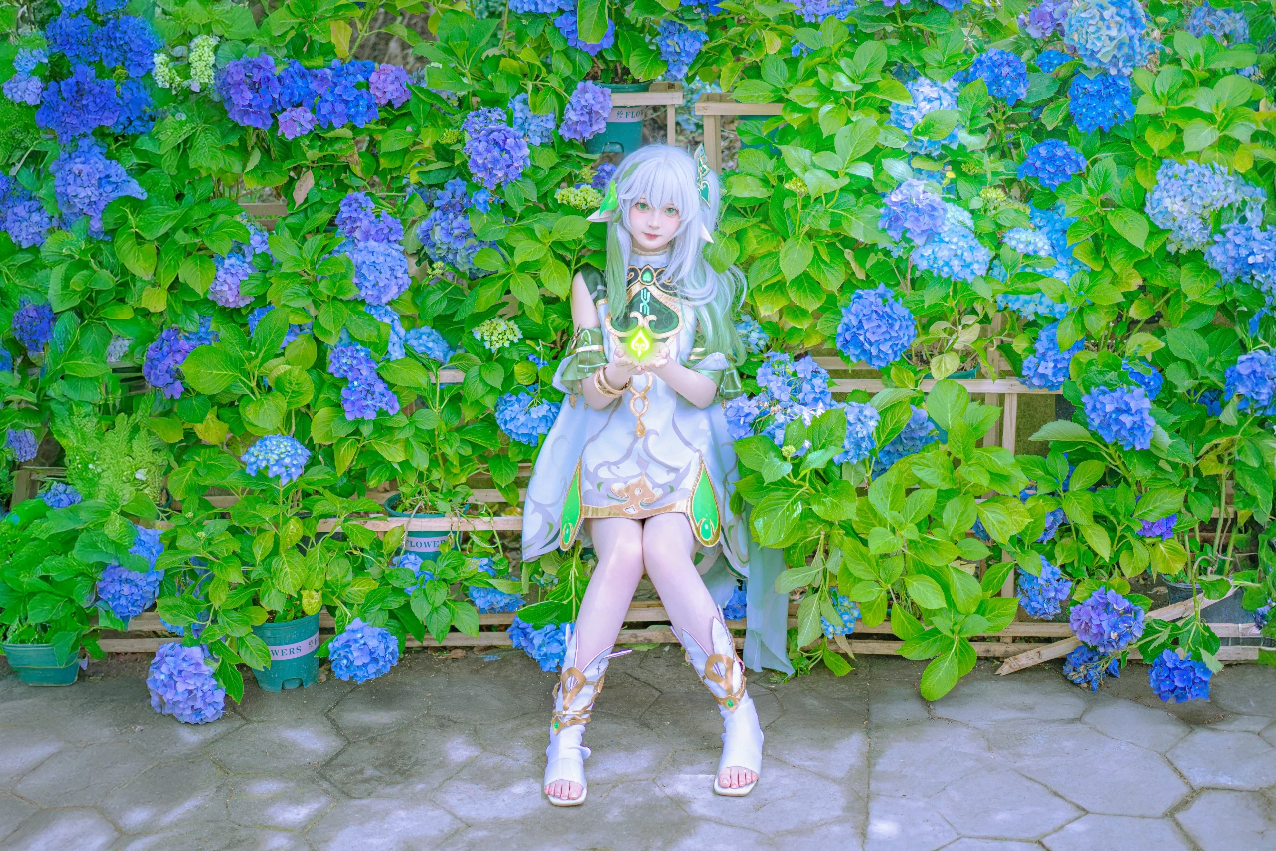 【纳西妲cos】原神草神，置身于绣球花海中的夏日时光 - 第 6 张