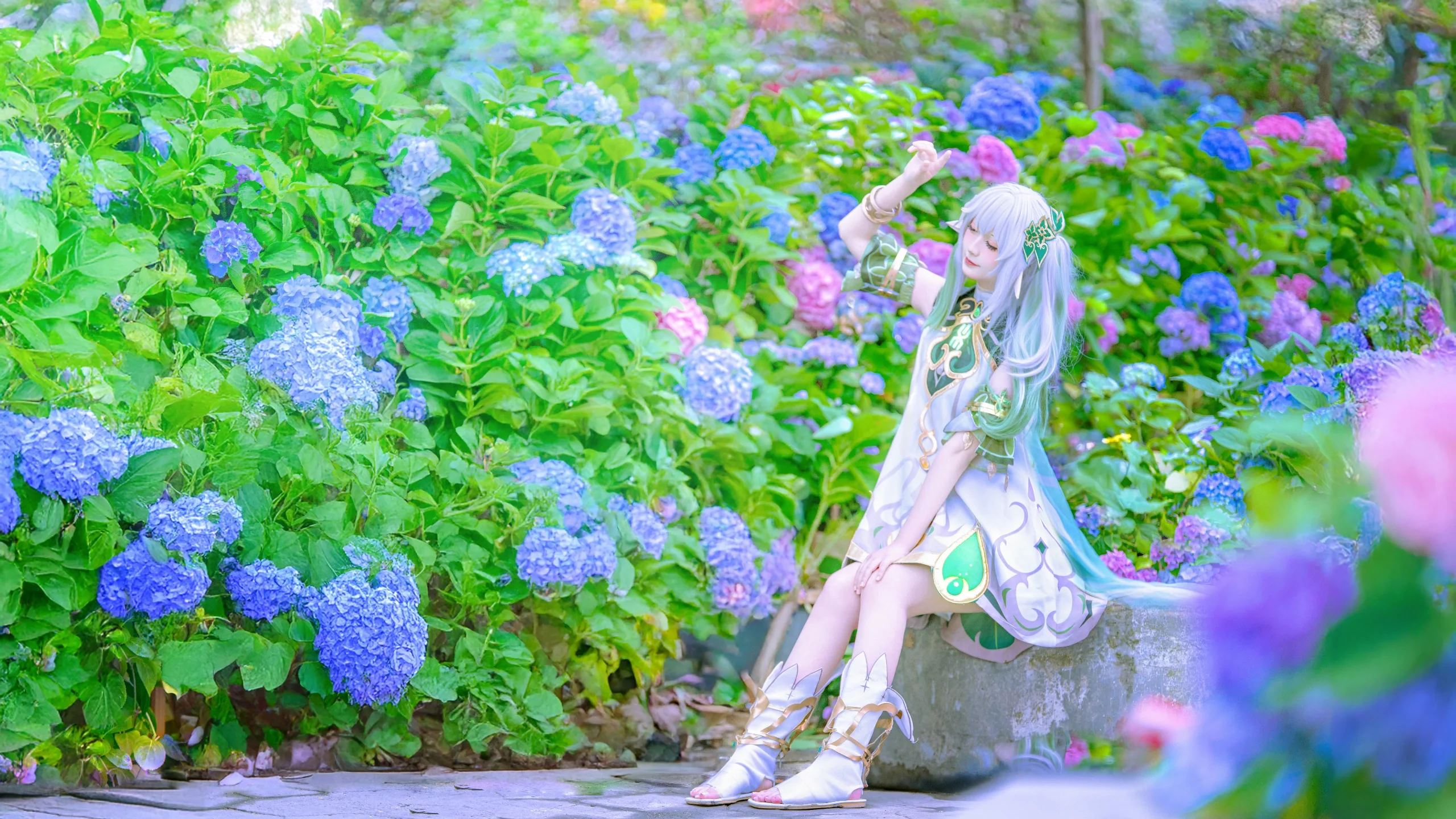 【纳西妲cos】原神草神，置身于绣球花海中的夏日时光 - 第 7 张