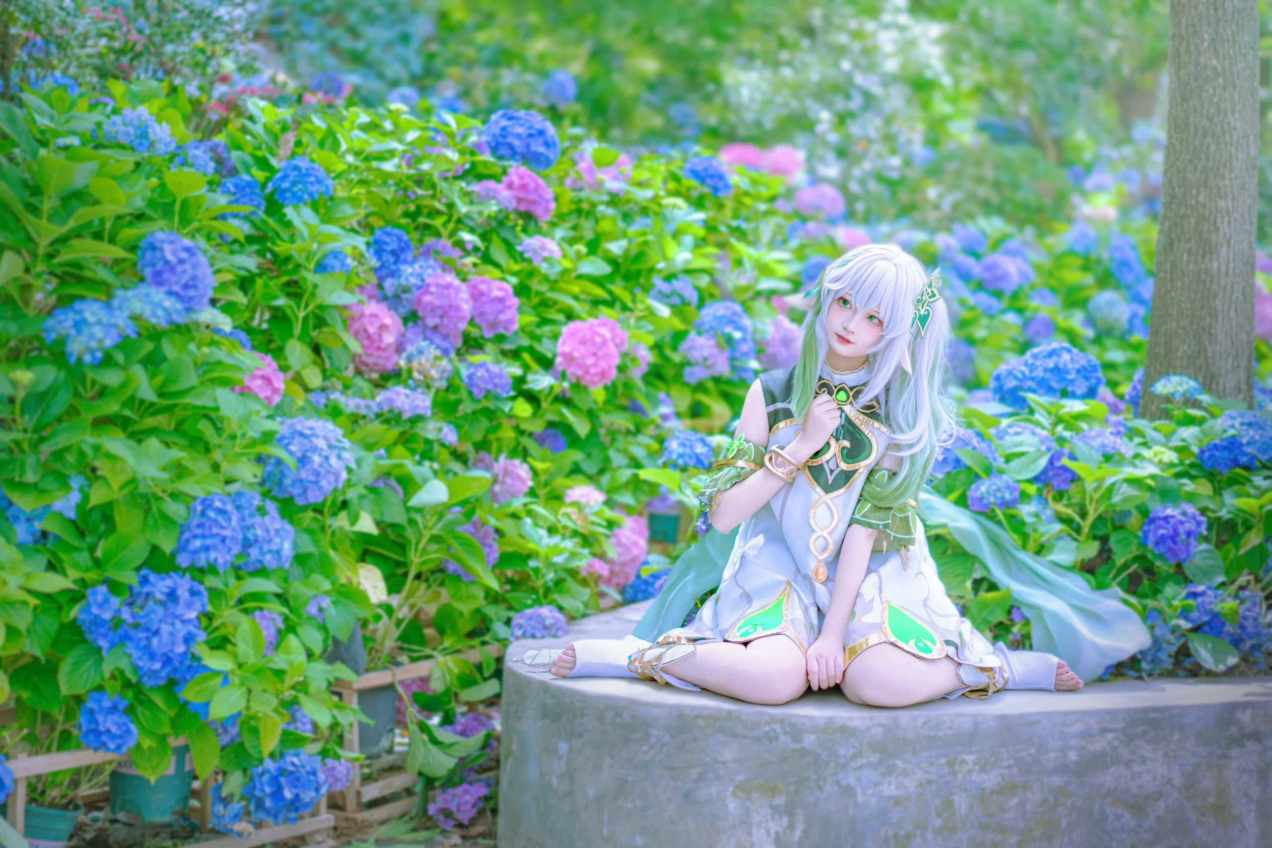 【纳西妲cos】原神草神，置身于绣球花海中的夏日时光 - 第 8 张