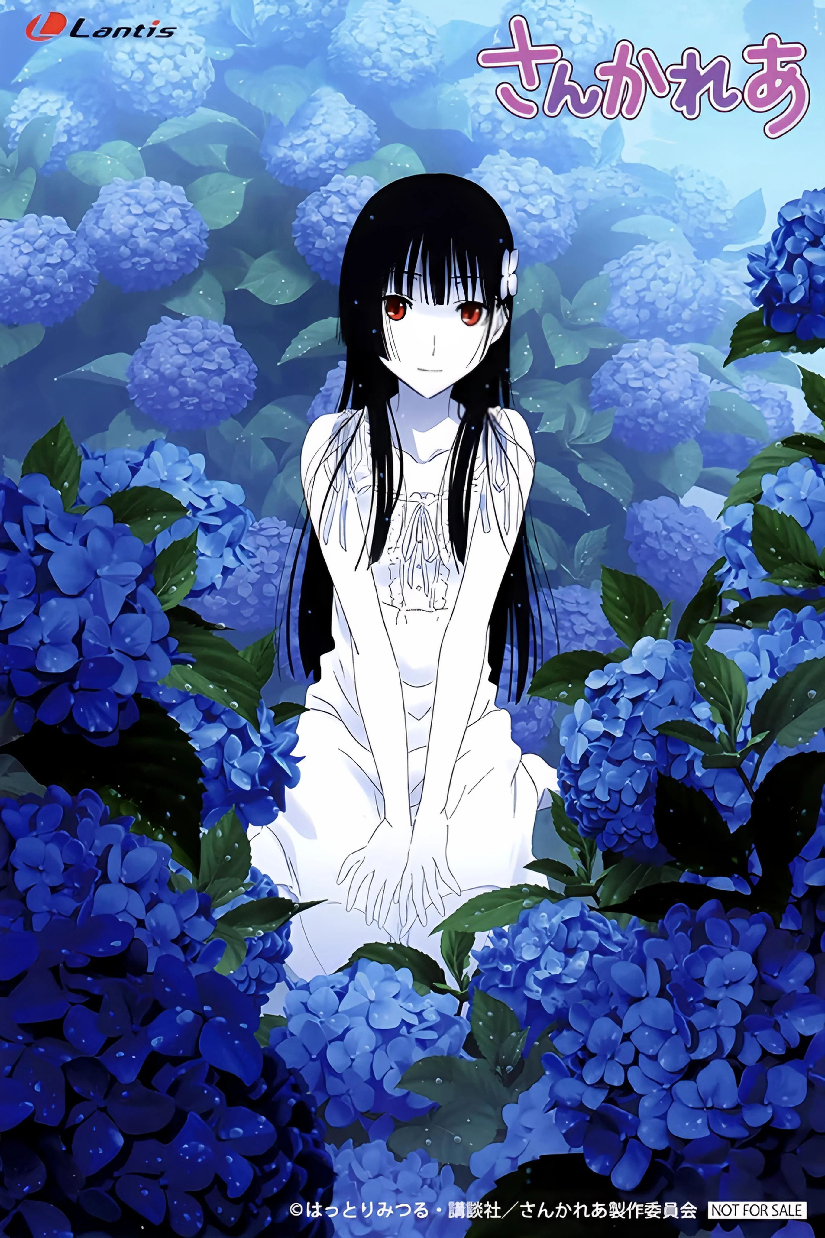 【散華禮彌cos】藍紫色繡球花叢中的少女 - 第 2 張