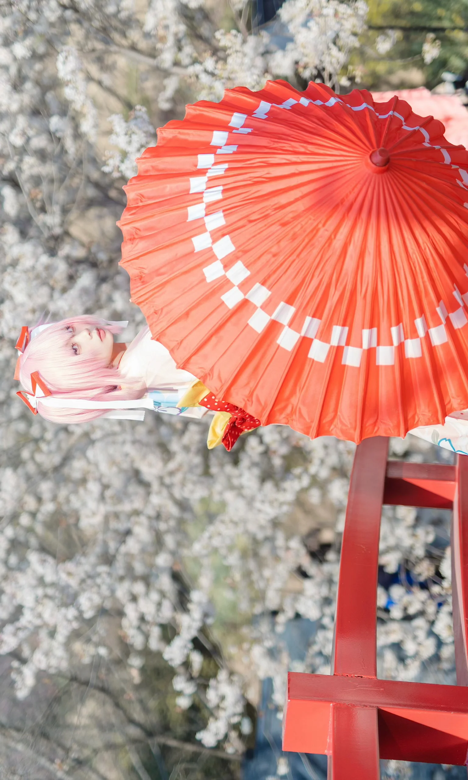 【鹿目圆cos】魔法少女小圆，樱花树下的春日和风 - 第 2 张