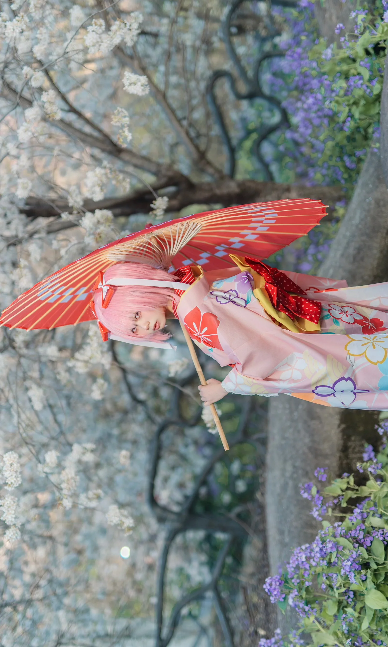 【鹿目圆cos】魔法少女小圆，樱花树下的春日和风 - 第 3 张