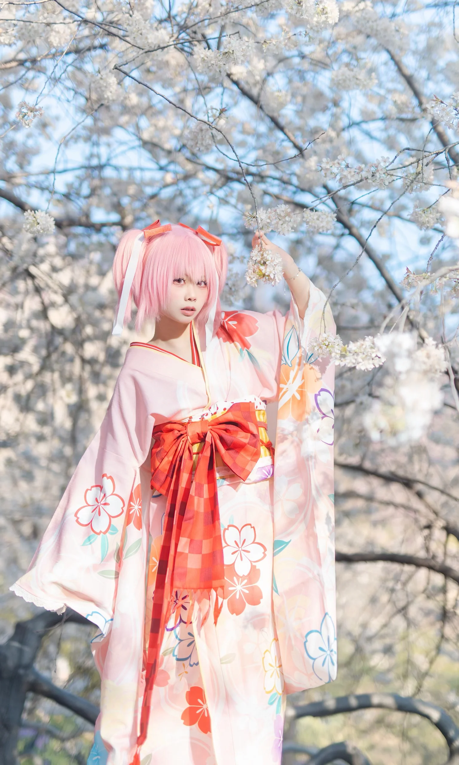 【鹿目圆cos】樱花季限定和服，阳光下的粉色治愈 - 第 10 张