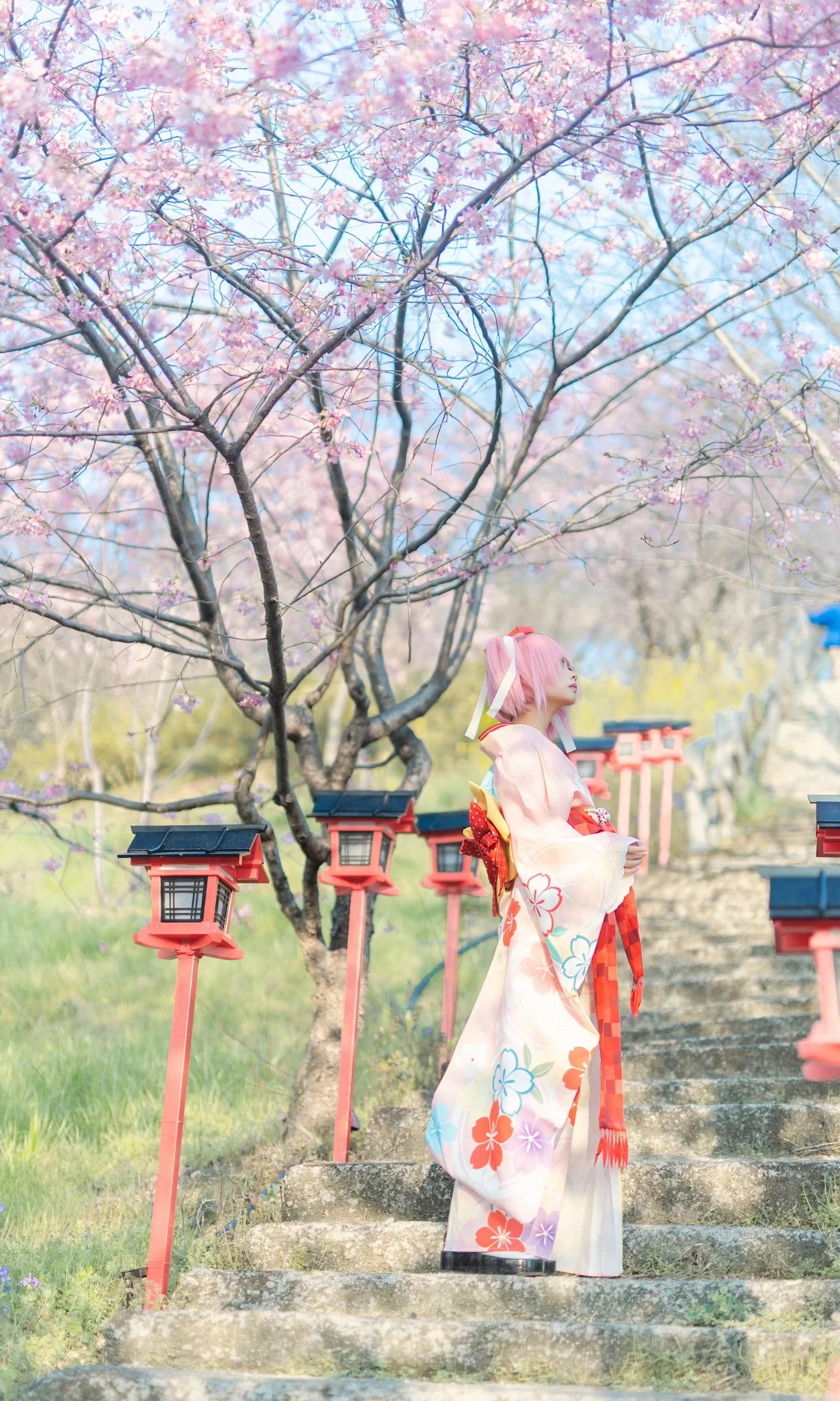 【鹿目圆cos】樱花季限定和服，阳光下的粉色治愈 - 第 9 张