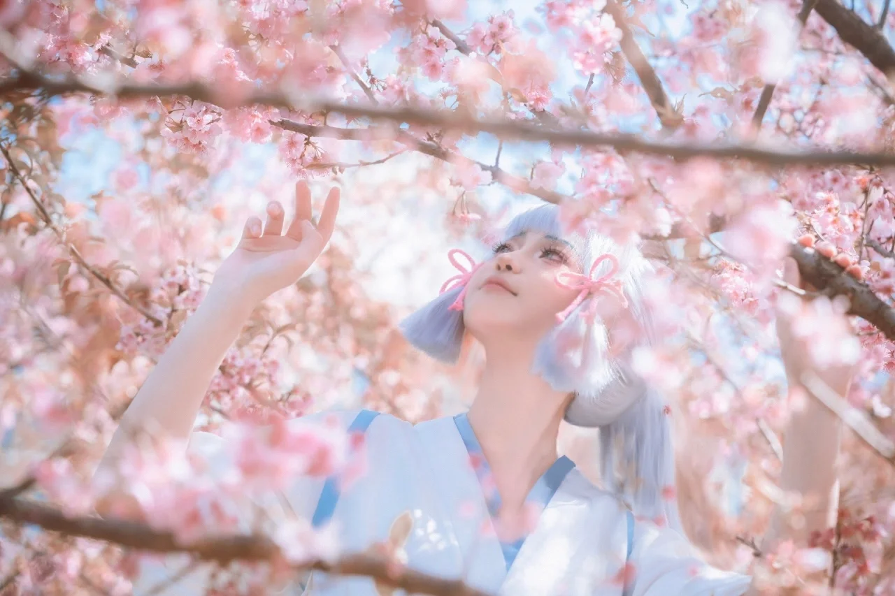 【神里绫华cos】春日的樱花与冰系少女的共鸣 - 第 4 张