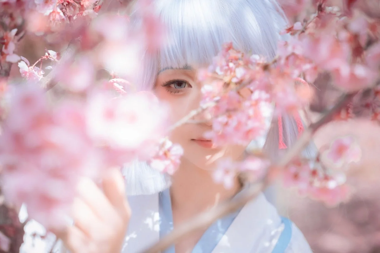 【神里绫华cos】春日的樱花与冰系少女的共鸣 - 第 5 张