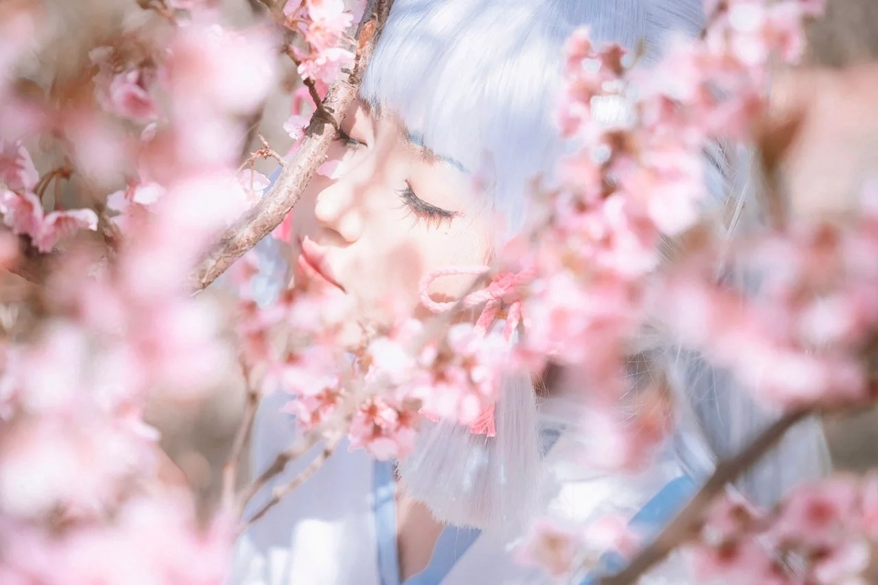 【神里绫华cos】春日的樱花与冰系少女的共鸣 - 第 6 张