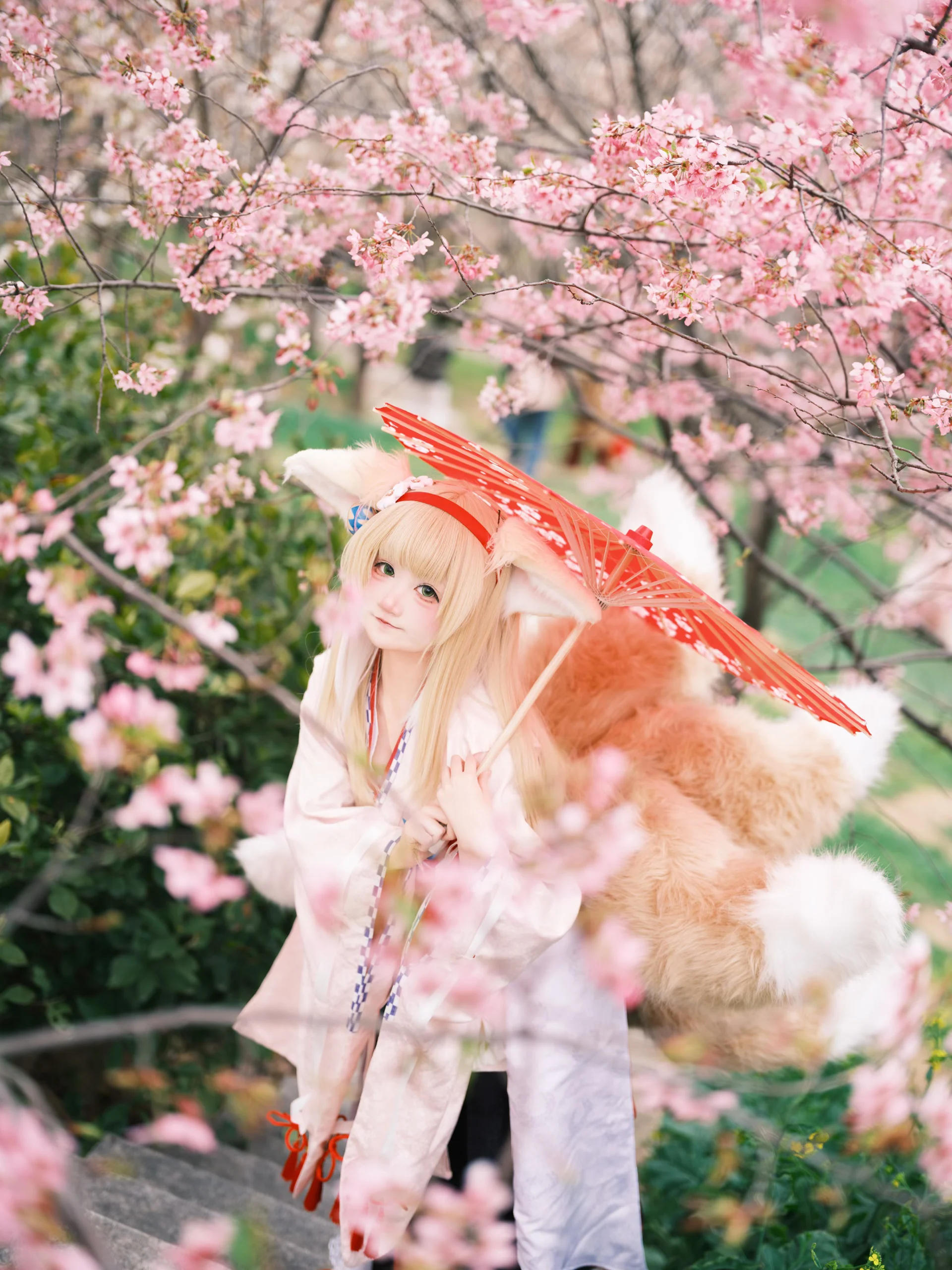 [Suzuran Cosplay] Arknights: Clearing after snow, a Healing Japanese-Style Cherry Blossom Outdoor Scene - Image 3