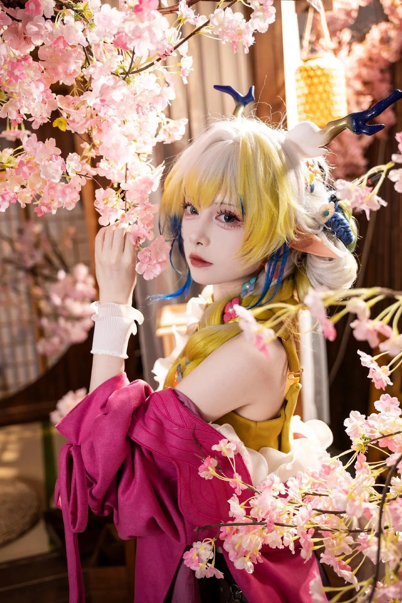 【黍cos】在樱花盛开的古宅里捕捉灵动瞬间 - 第2张