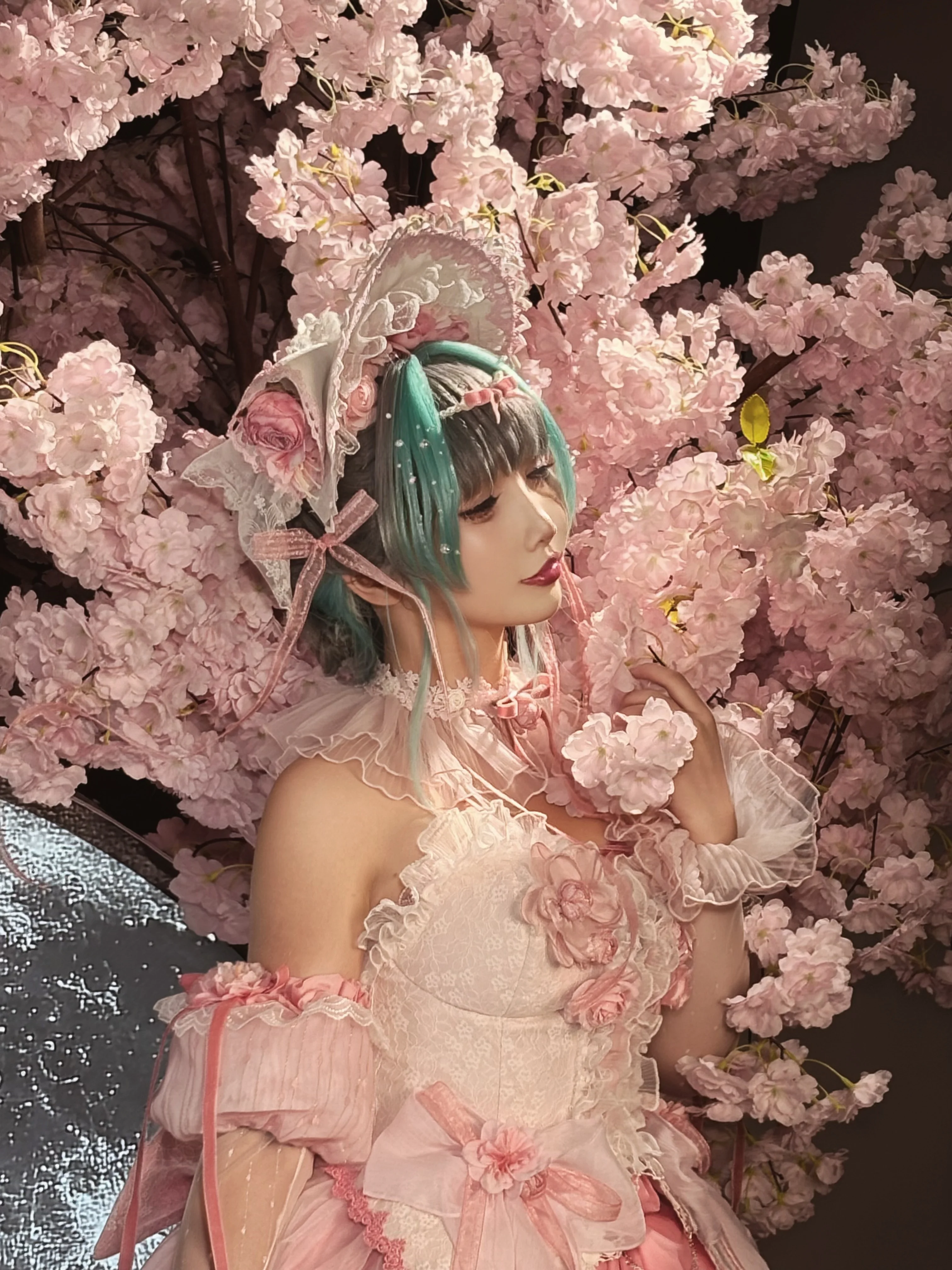 【柴郡cos】碧藍航線的櫻花限定，甜欲感拉滿 - 第 4 張
