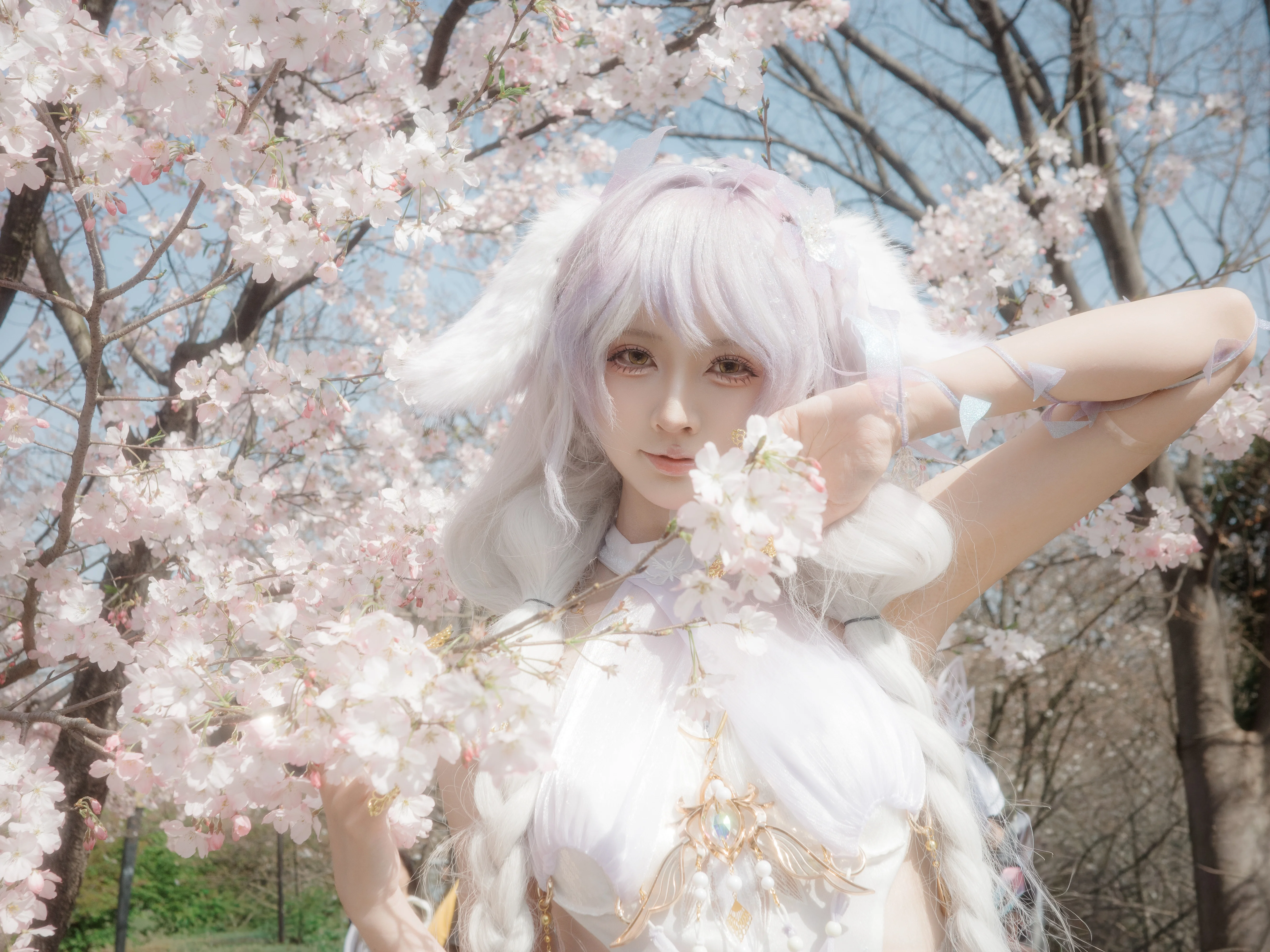 [Chun Bu Lian Cosplay] Under the Cherry Blossom Tree in NARAKA: BLADEPOINT, Time Seems to Stand Still - Image 8