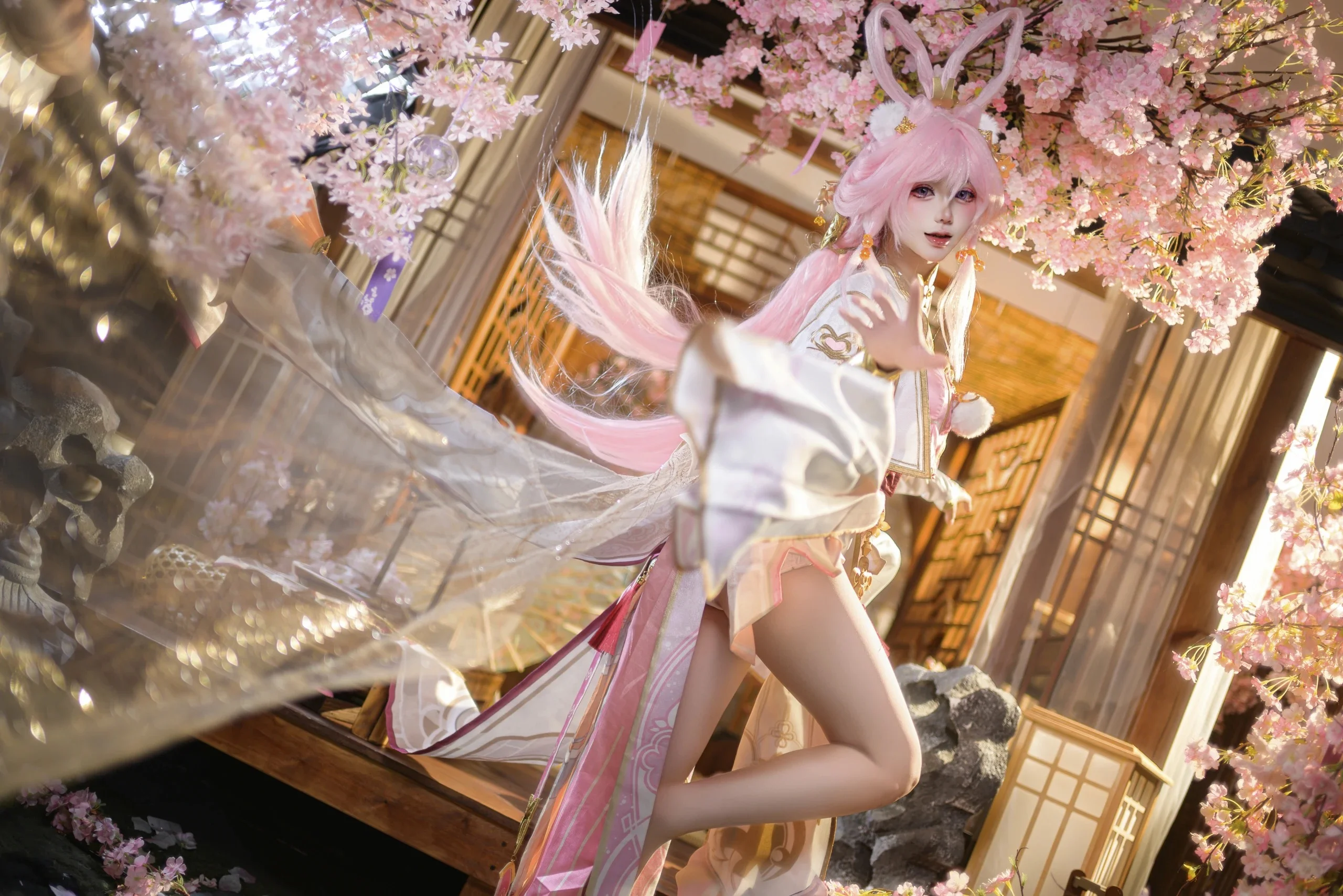 [Elysia Cosplay] Under the Cherry Blossom Trees, Sharing the Gentleness of Moonlit Grace With You