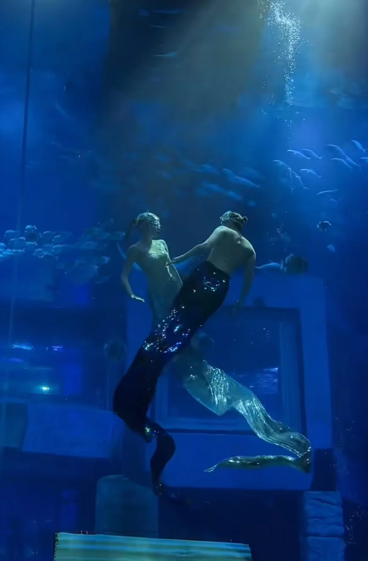 【スカーク コスプレ】青き夢幻へ潜入、水族館でエモい空気感を演出 - 14 枚目