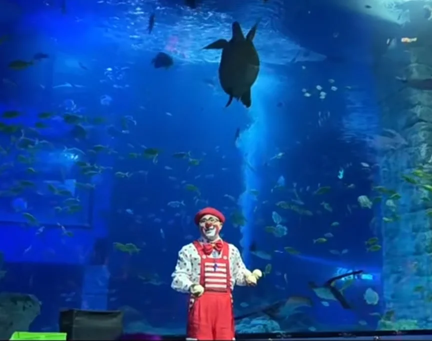 【スカーク コスプレ】青き夢幻へ潜入、水族館でエモい空気感を演出 - 15 枚目