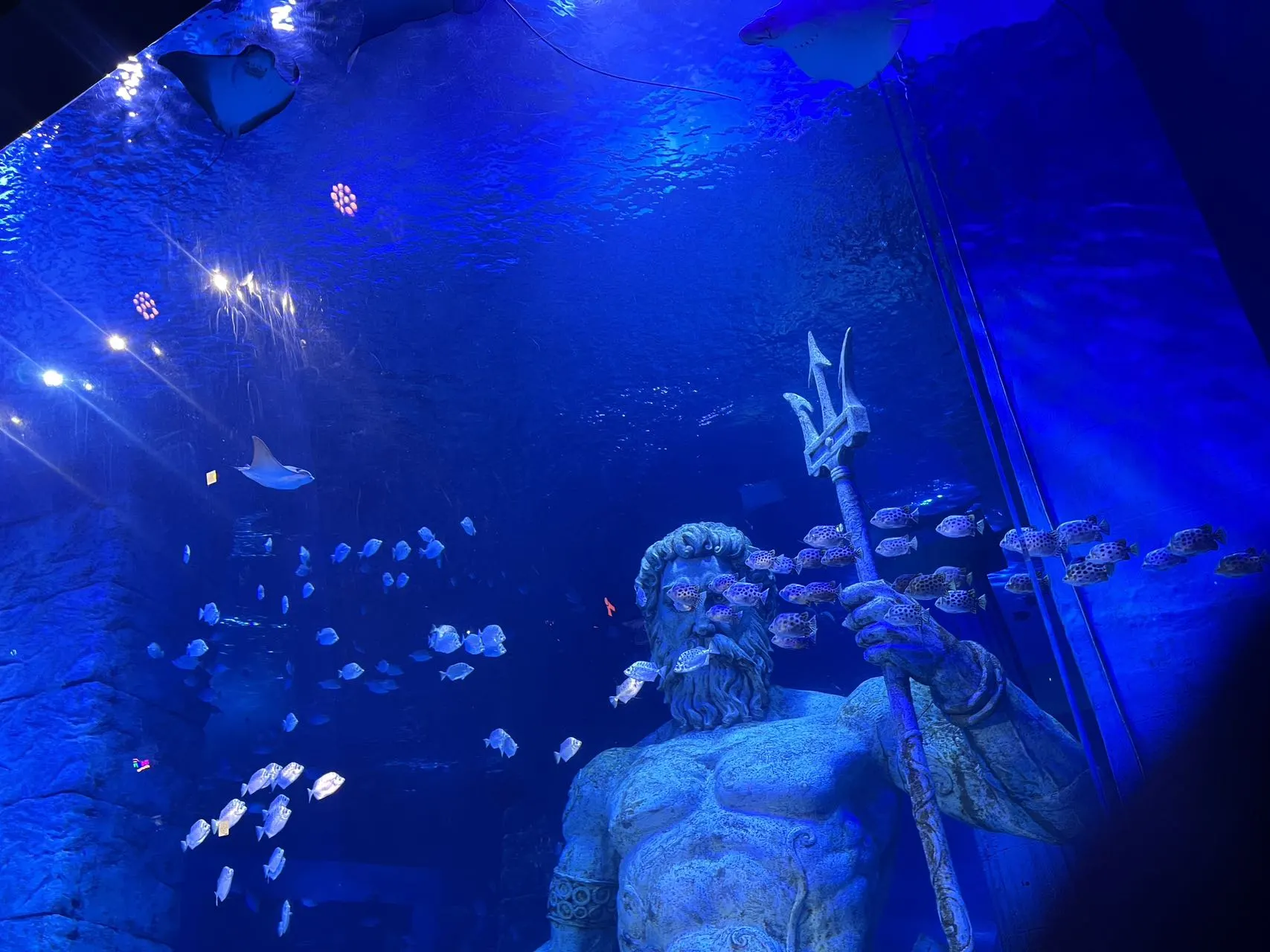 【スカーク コスプレ】青き夢幻へ潜入、水族館でエモい空気感を演出 - 6 枚目