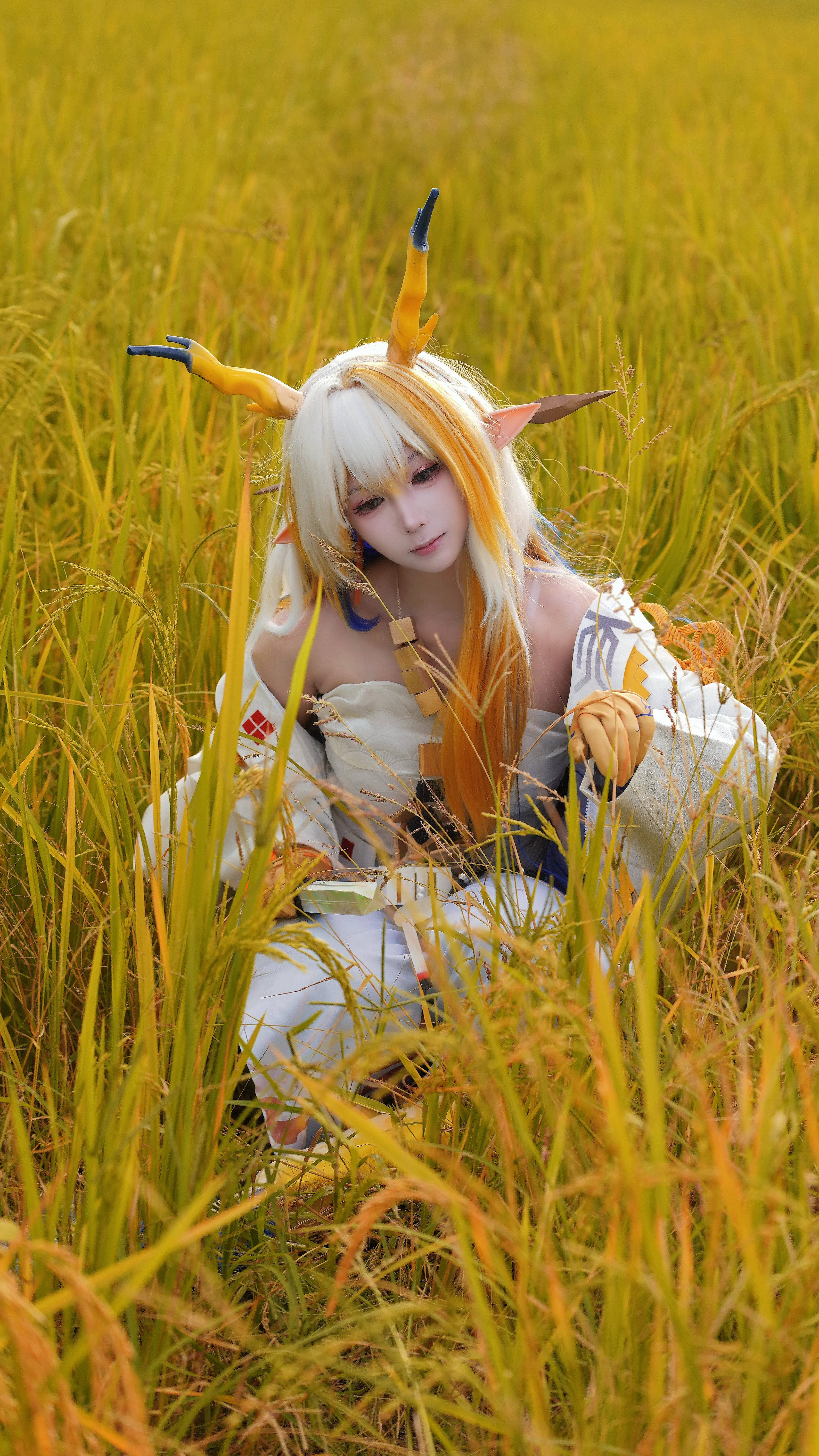 [Arknights Shu cosplay] A Warm Moment Frozen in the Golden Wheat Waves - Image 1