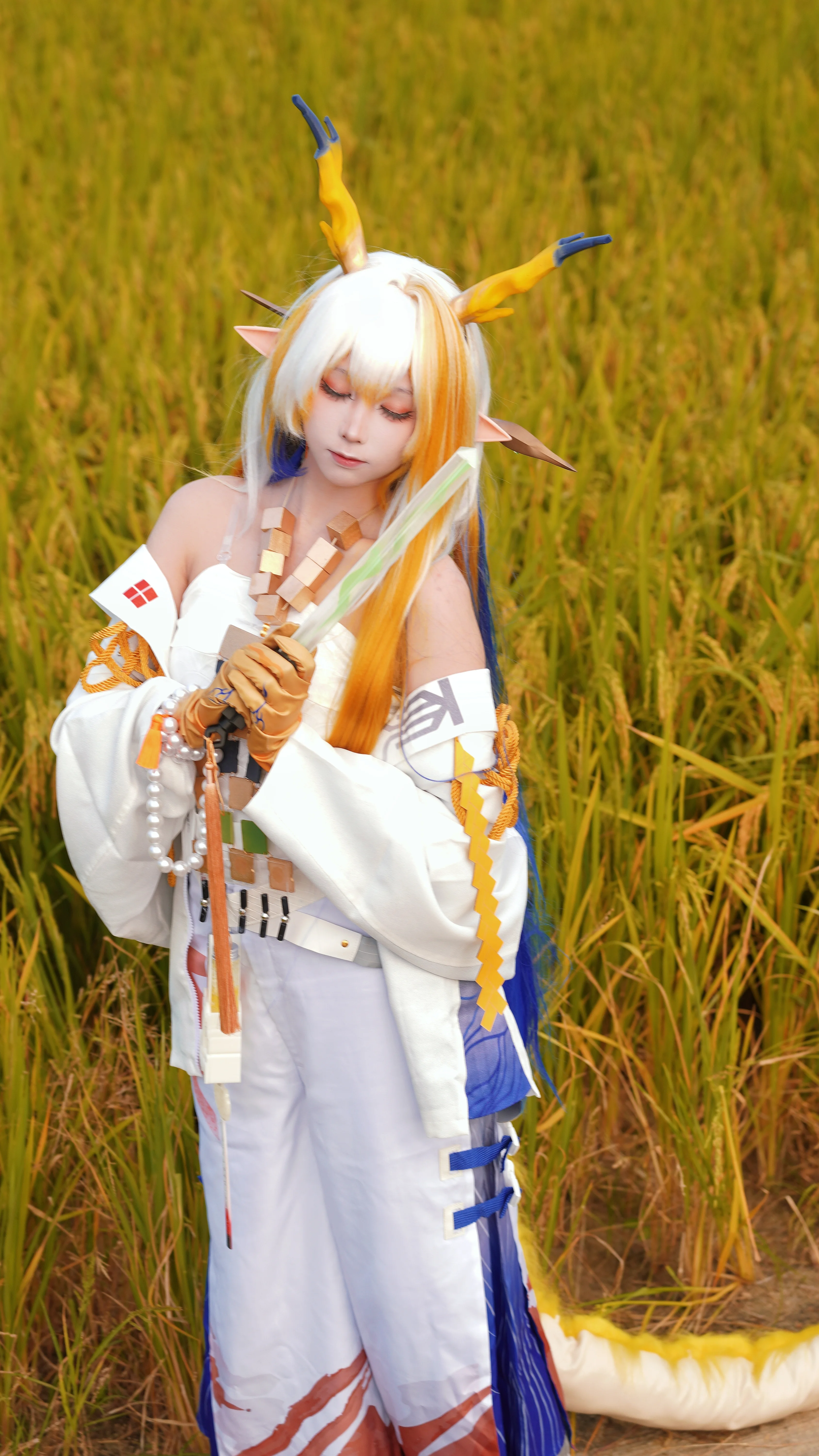 [Arknights Shu cosplay] A Warm Moment Frozen in the Golden Wheat Waves - Image 2