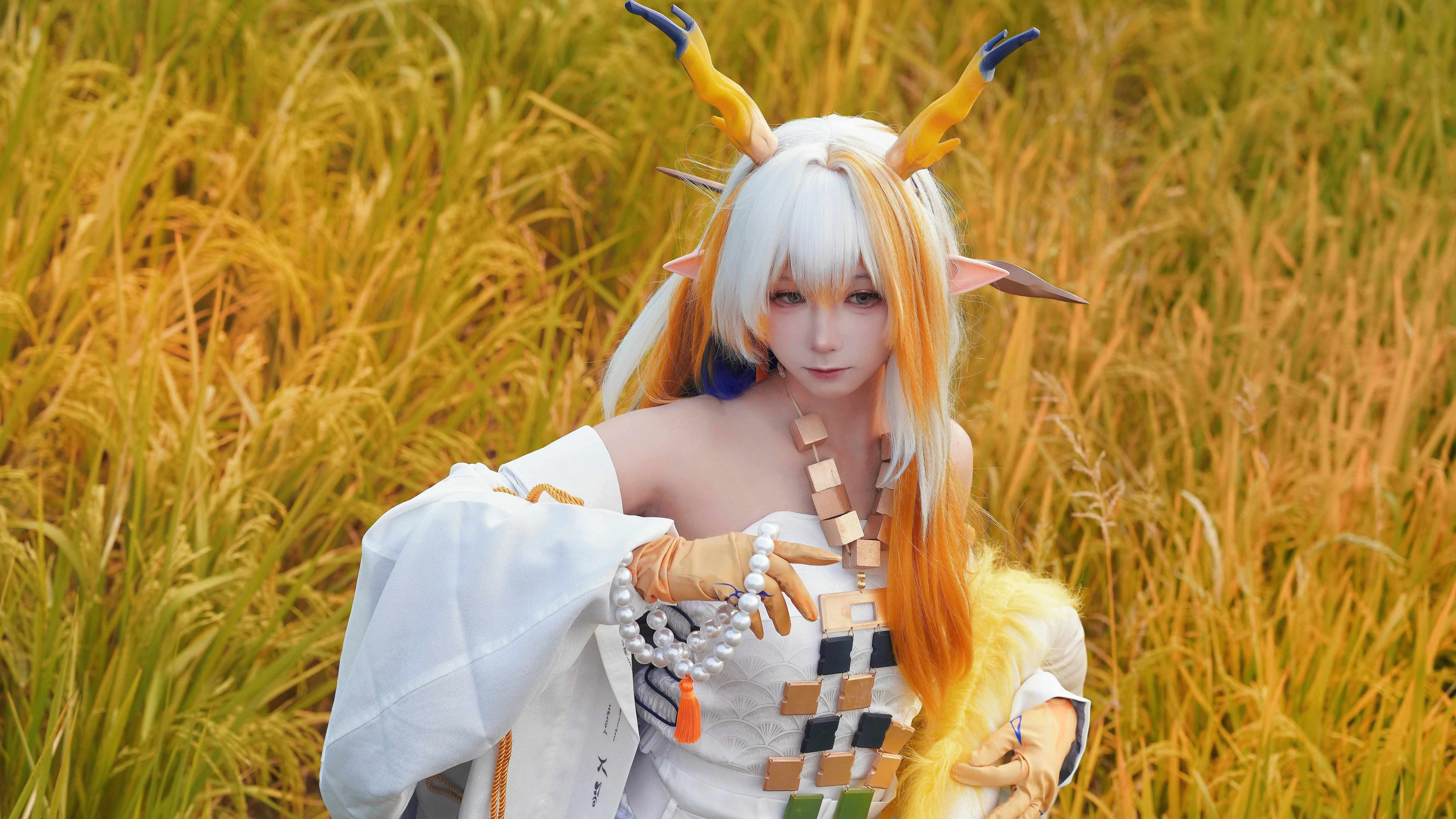 [Arknights Shu cosplay] A Warm Moment Frozen in the Golden Wheat Waves - Image 5